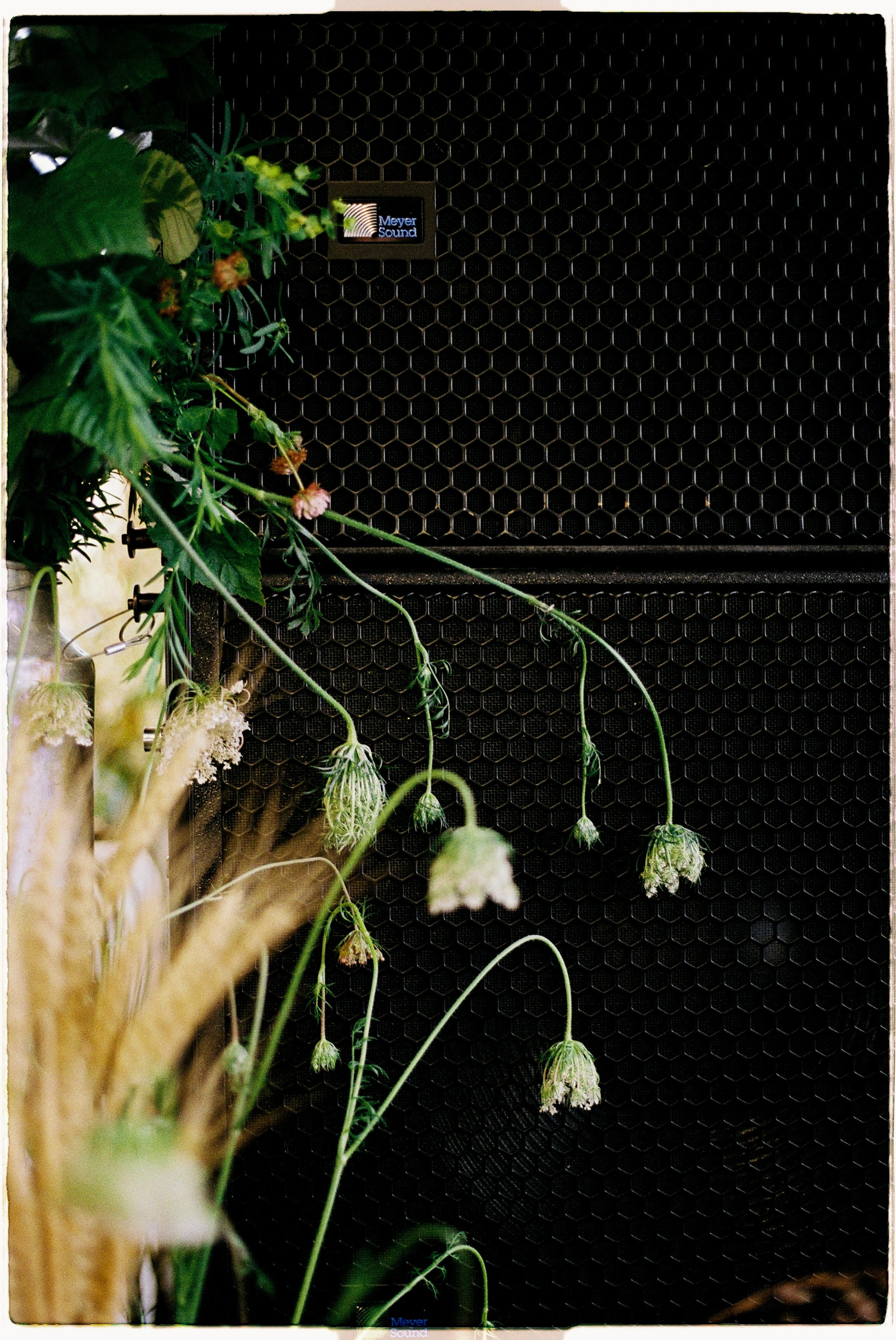 GARAGE РОКЕТ Клумб. Илья Симонов фотограф москва