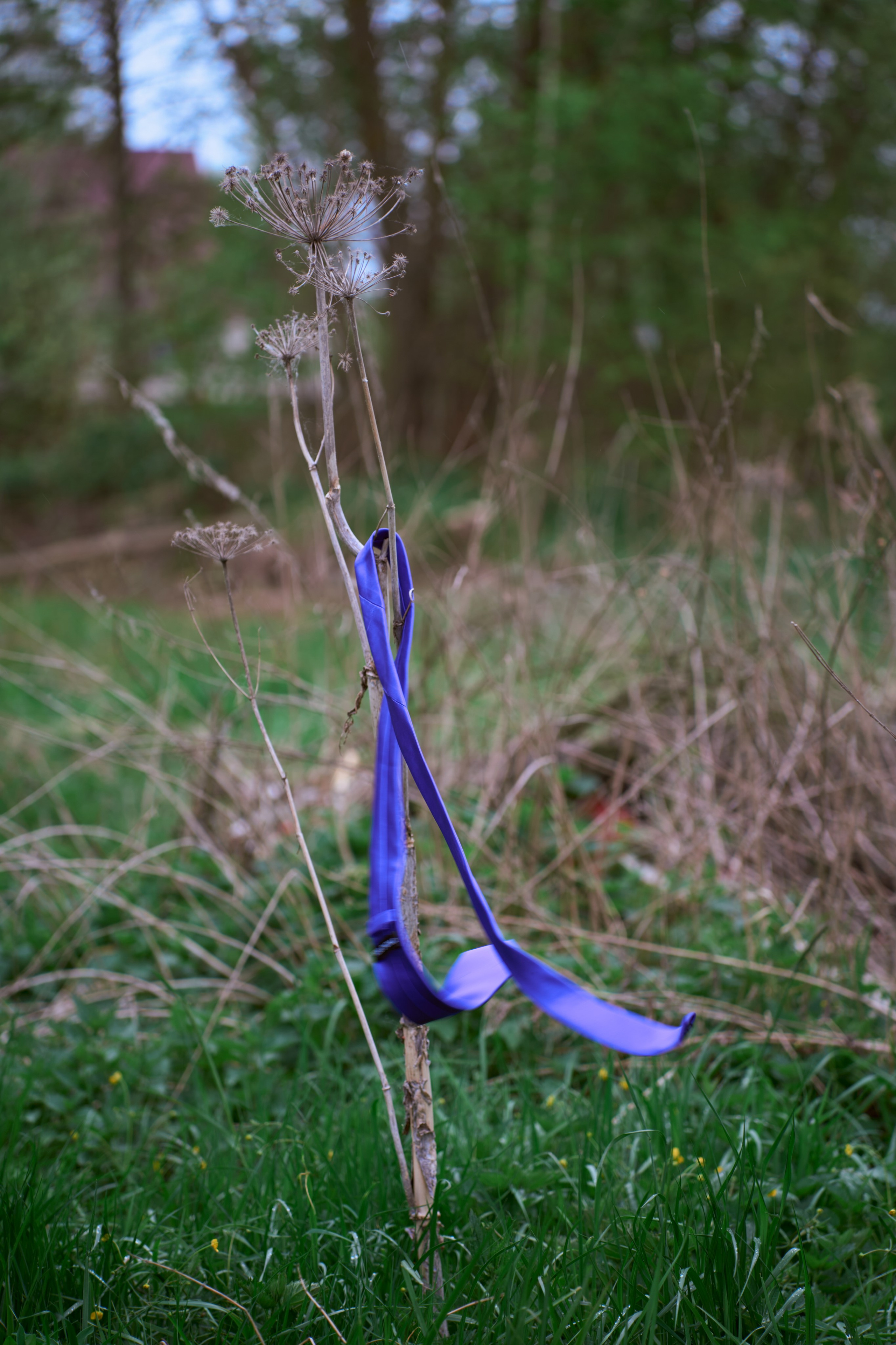 Марта. Фотограф, Римма Невинская