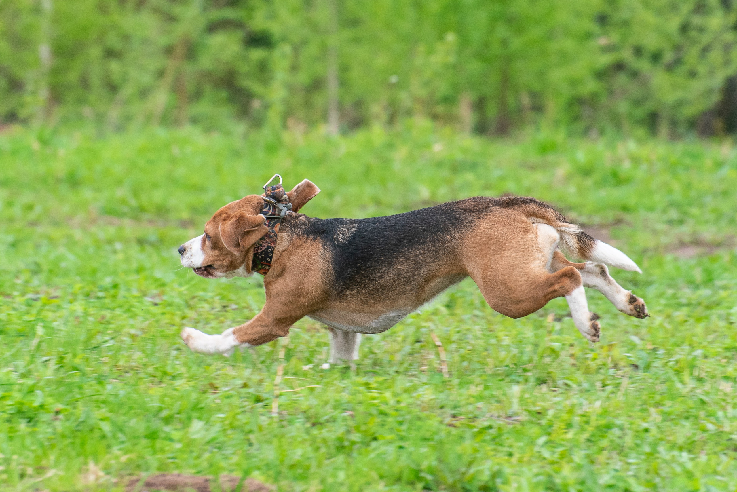 Фотографии с Курсинга. Фотограф Макс Огурцов в Нижнем Новгороде