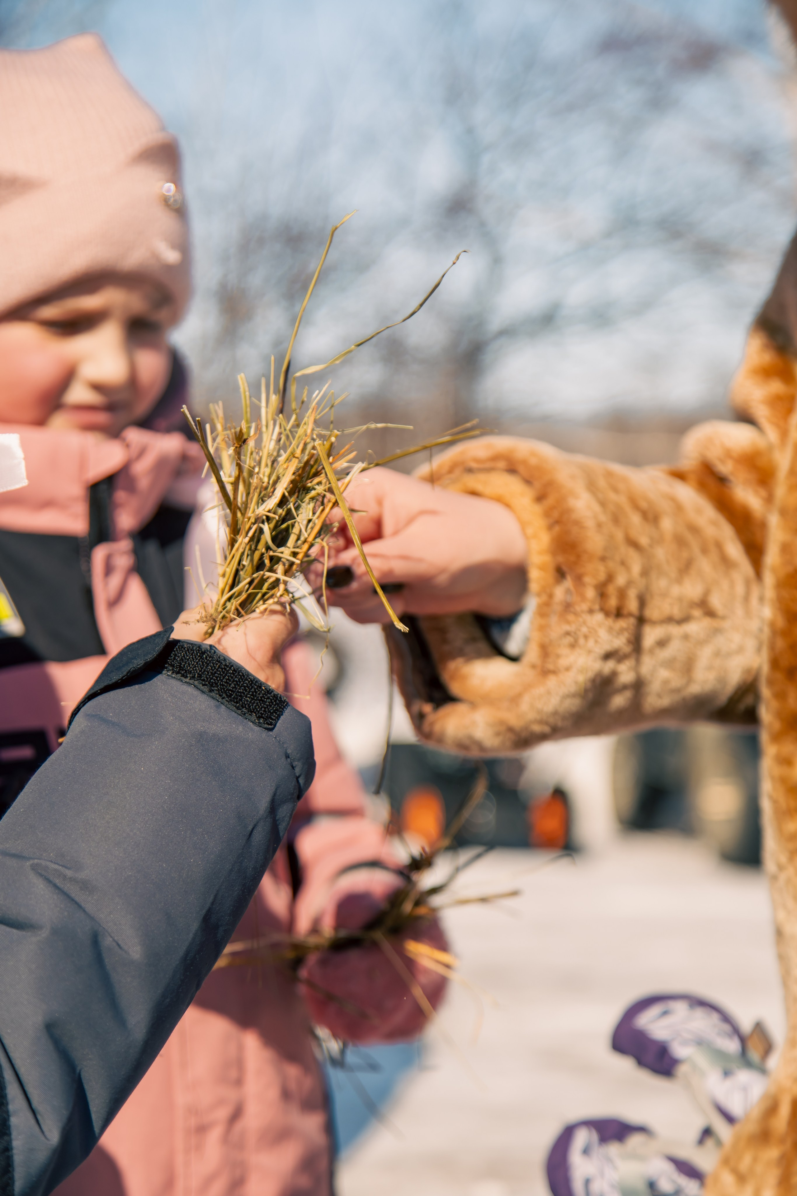 Закрытие масленицы «ДВ Каникулы». МЕДИА-РЕСУРС ХАБАРОВСК / Фотоотчеты / Репортажи / События