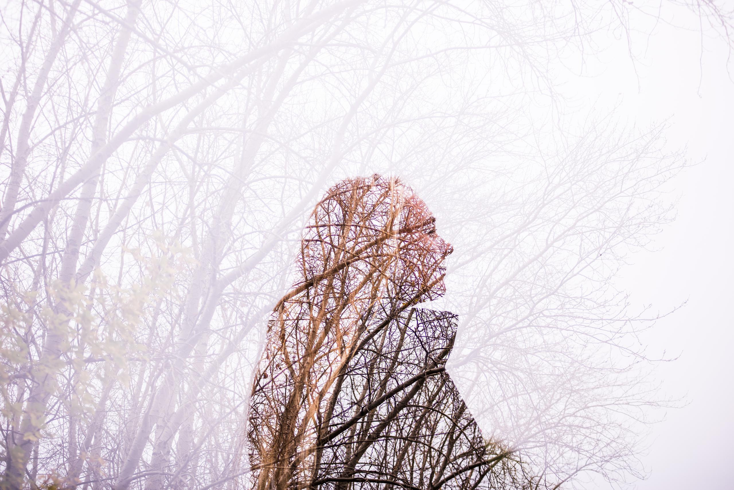 Аня и Далила. Осень 2020. Дог-фотограф в Тюмени Александра Королева