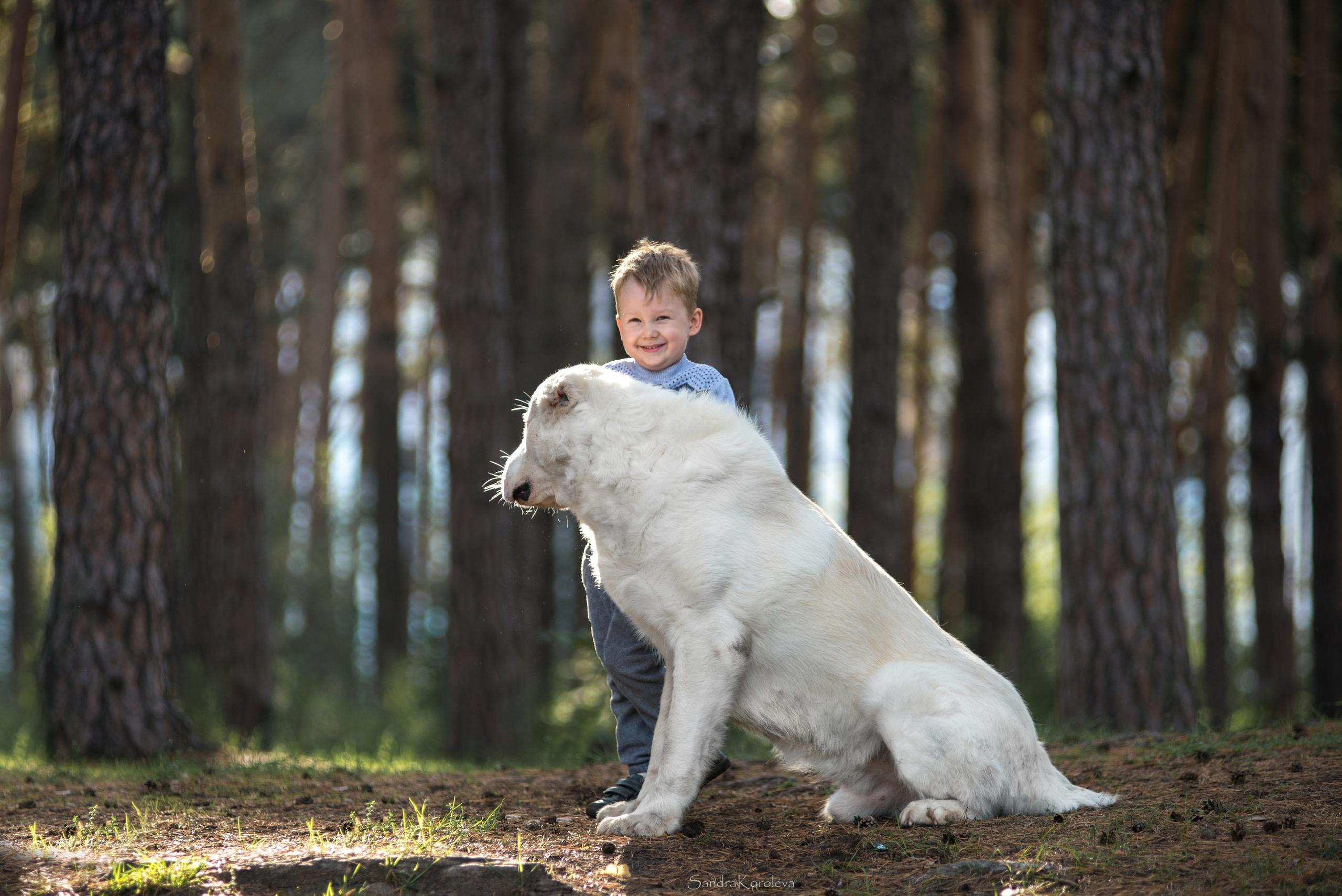 Ваня со своим другом белым Мишей. Дог-фотограф в Тюмени Александра Королева