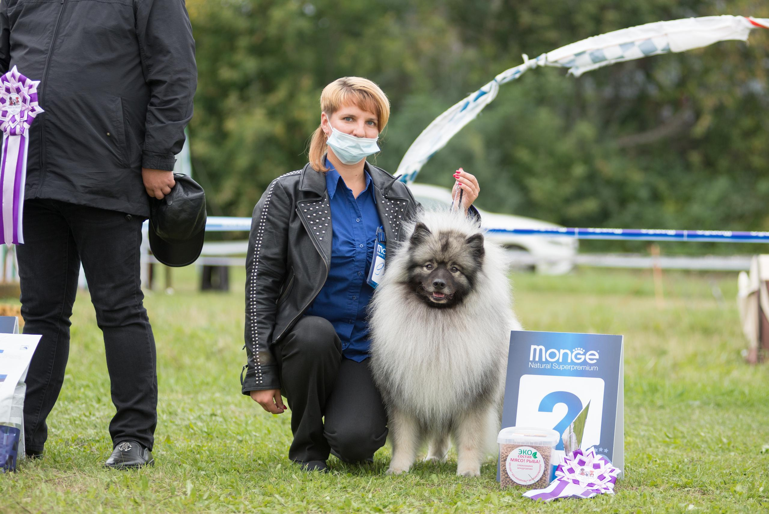 Выставка собак. Тюмень 06.09.2020. Дог-фотограф в Тюмени Александра Королева