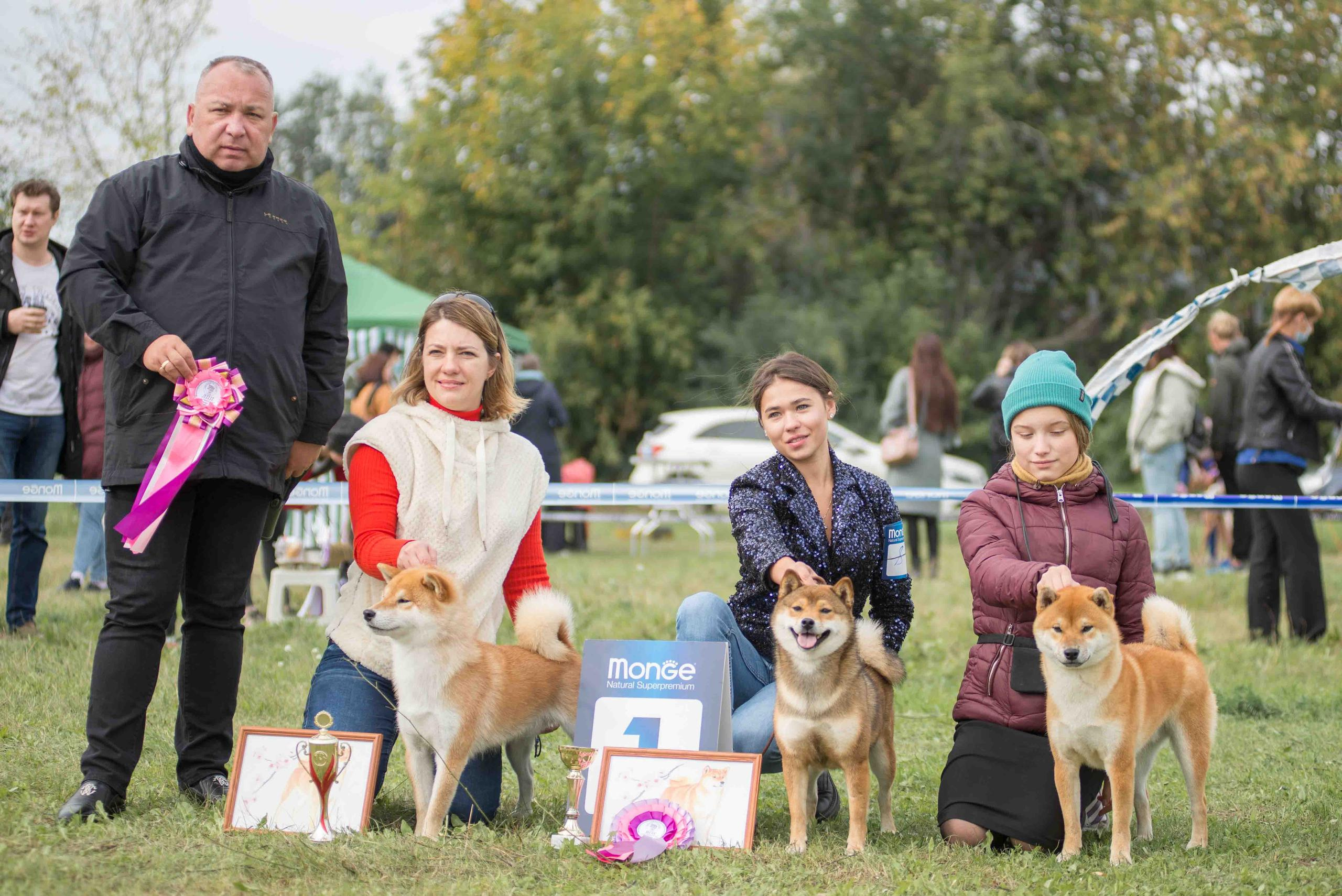 Выставка собак. Тюмень 06.09.2020. Дог-фотограф в Тюмени Александра Королева