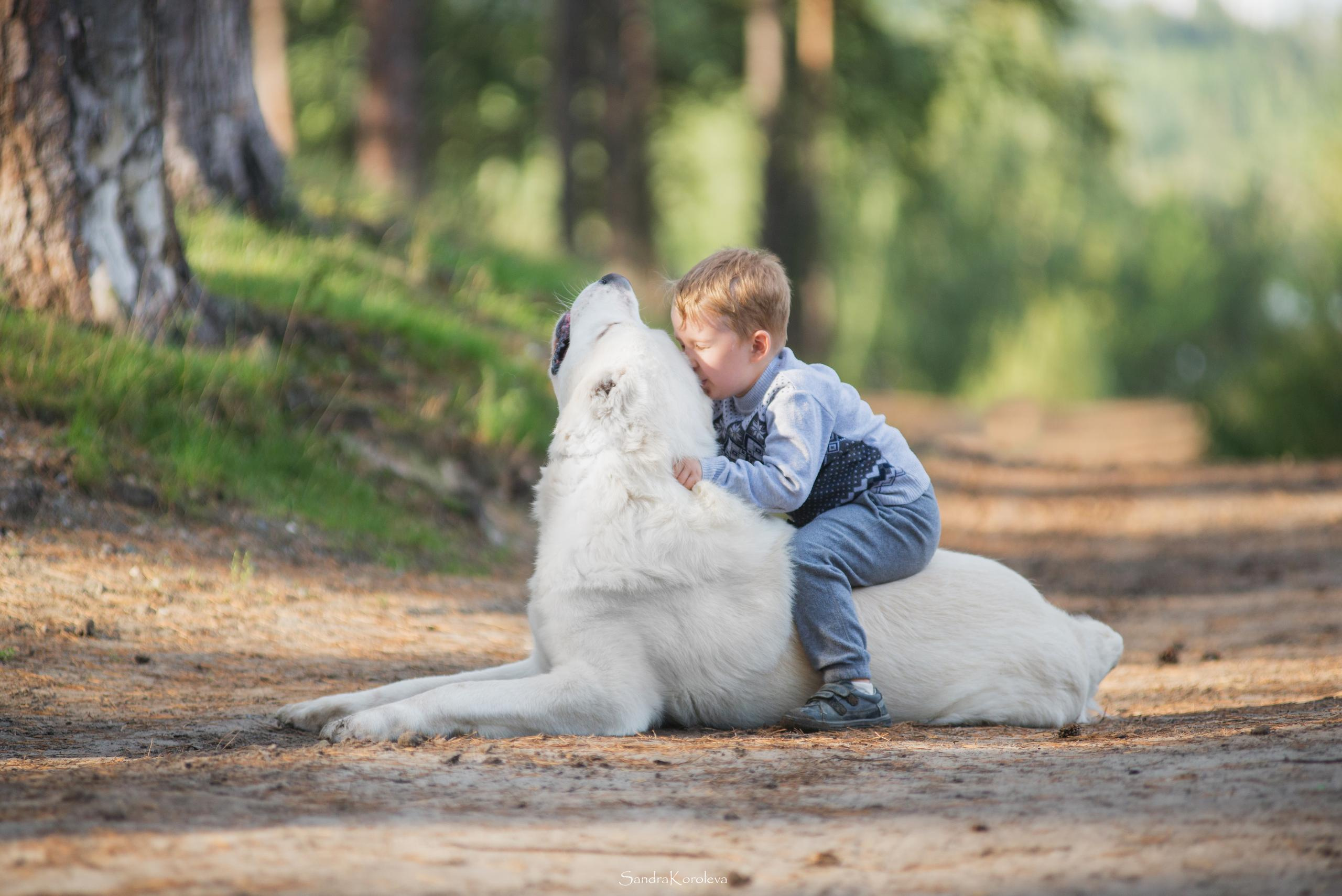 Ваня со своим другом белым Мишей. Дог-фотограф в Тюмени Александра Королева