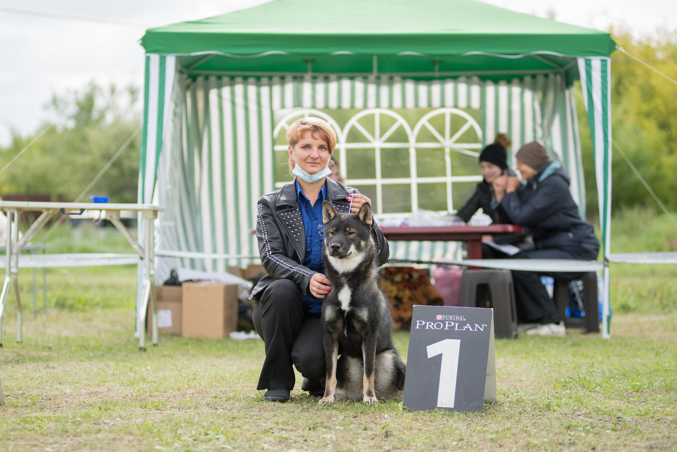 Выставка собак. Тюмень 06.09.2020. Дог-фотограф в Тюмени Александра Королева