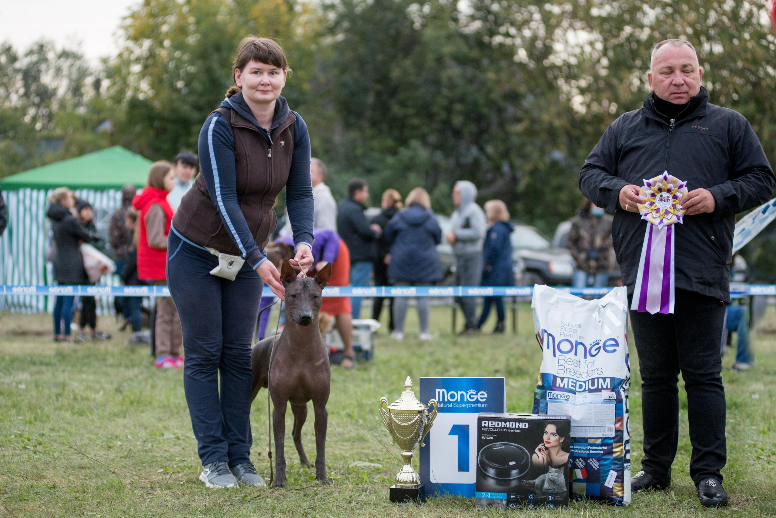 Выставка собак. Тюмень 06.09.2020. Дог-фотограф в Тюмени Александра Королева