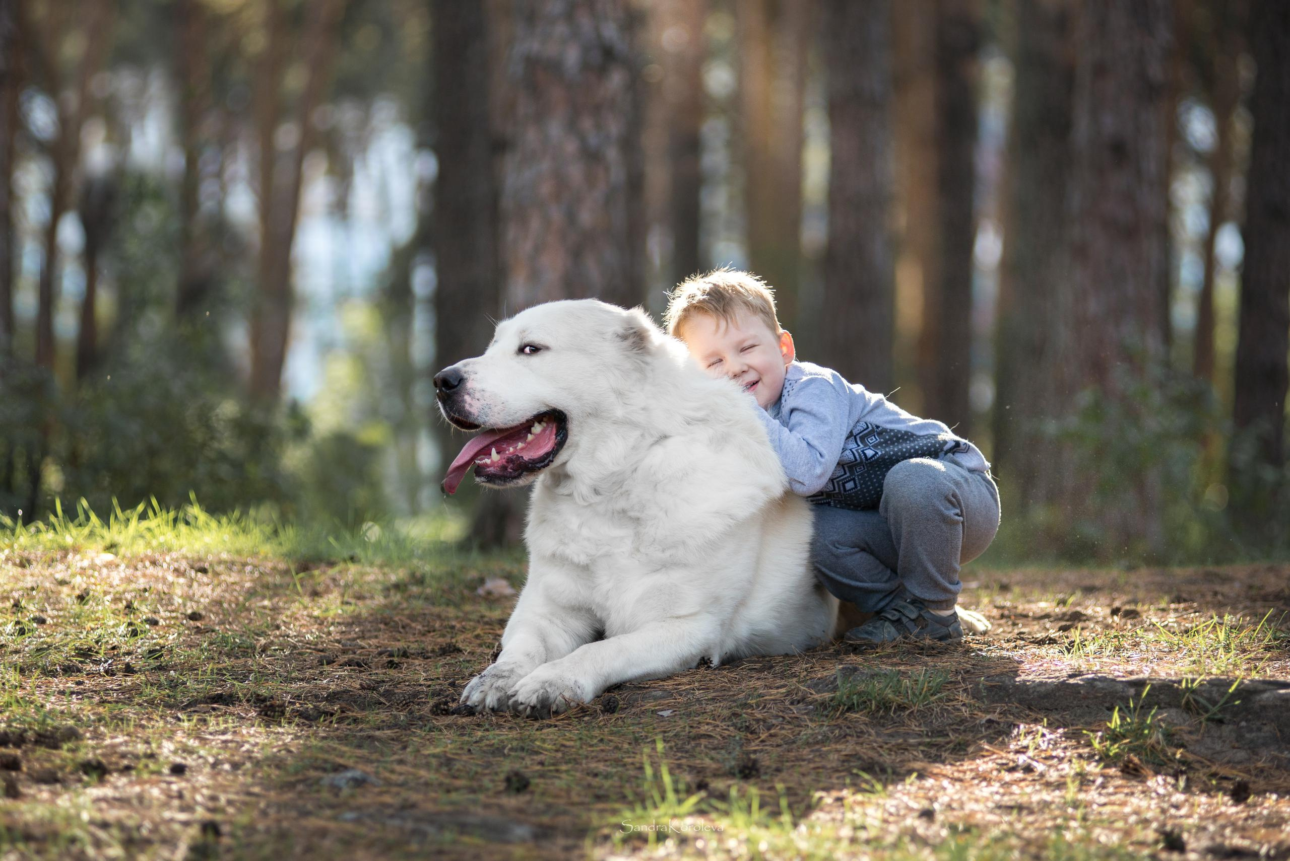 Ваня со своим другом белым Мишей. Дог-фотограф в Тюмени Александра Королева