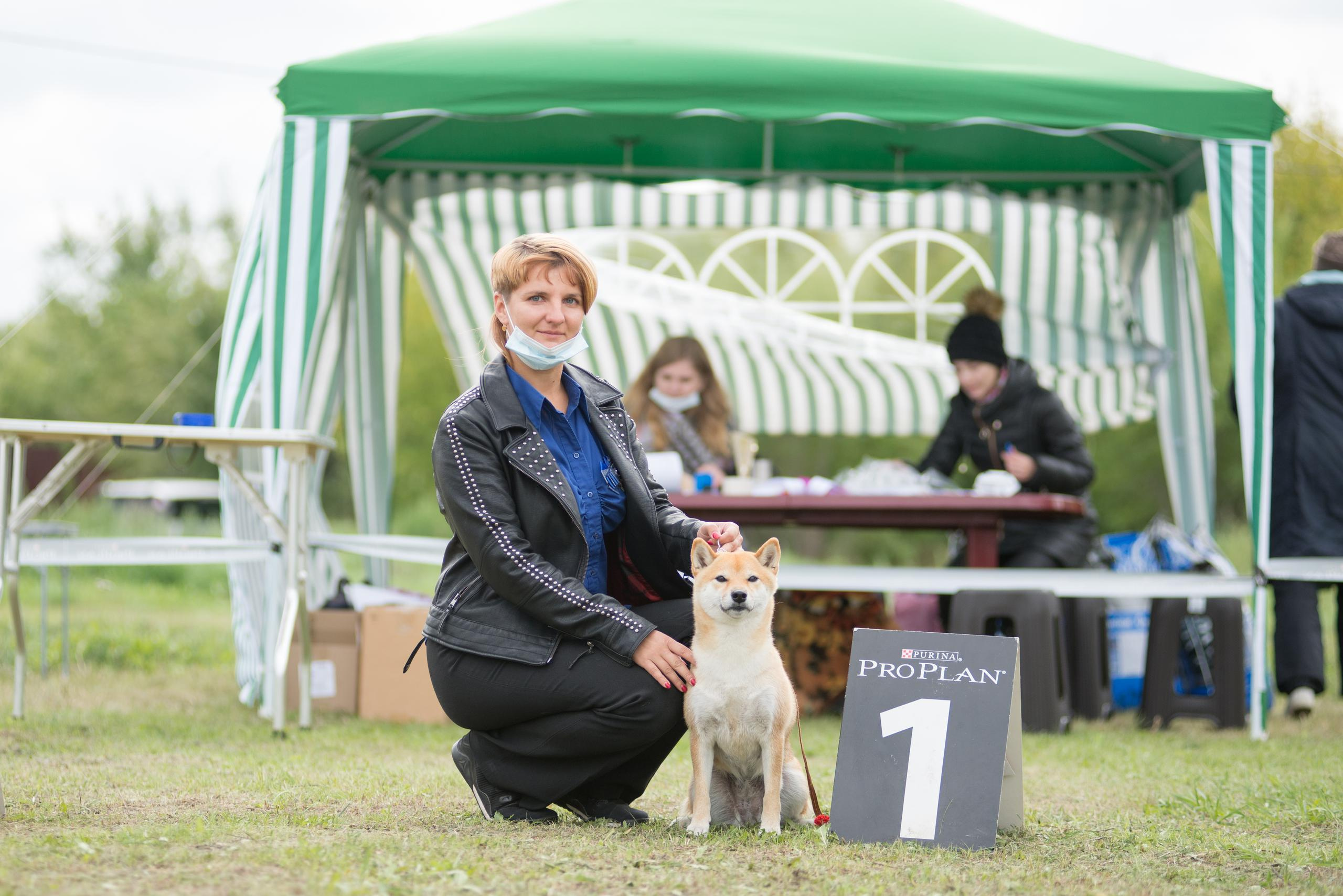 Выставка собак. Тюмень 06.09.2020. Дог-фотограф в Тюмени Александра Королева