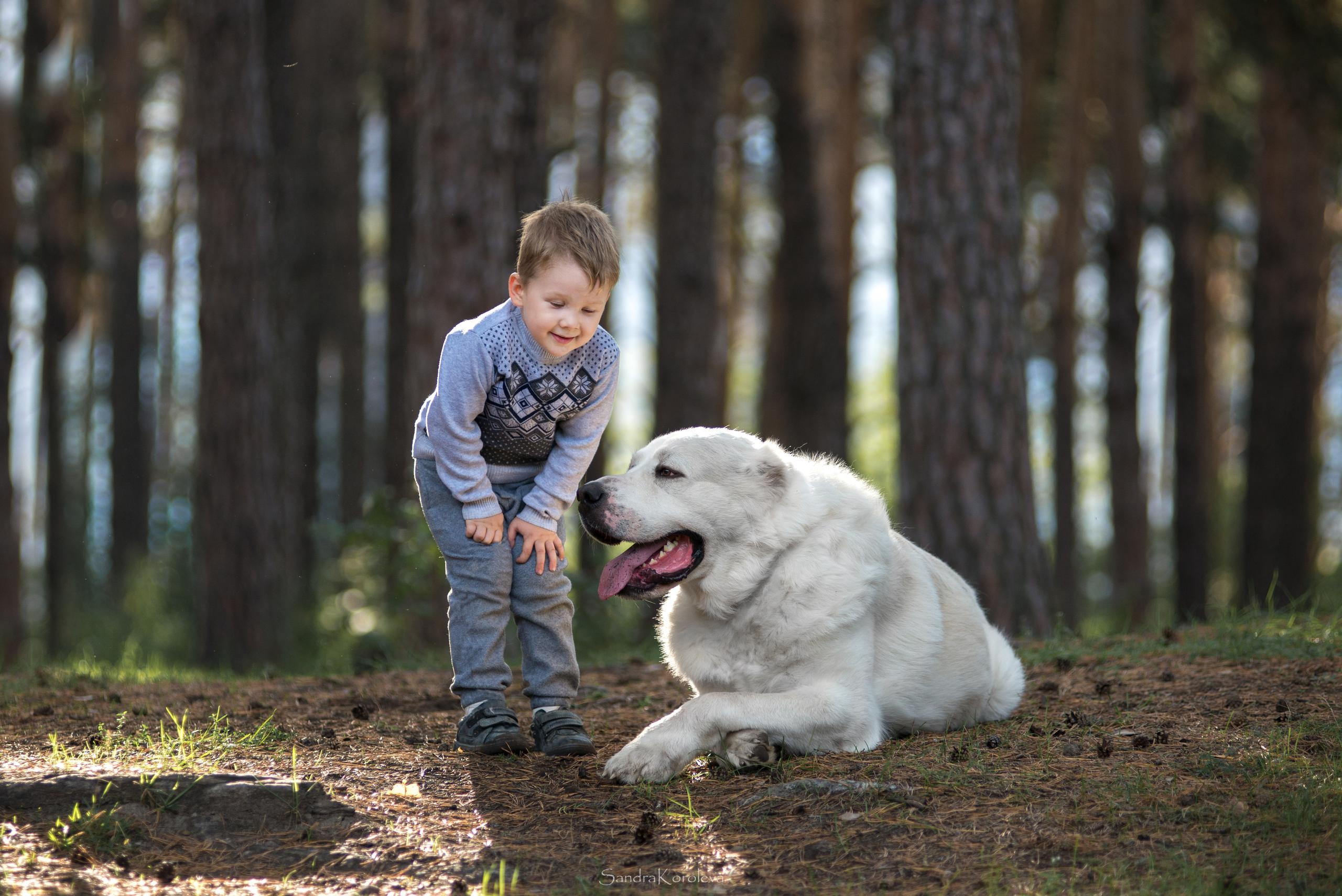 Ваня со своим другом белым Мишей. Дог-фотограф в Тюмени Александра Королева