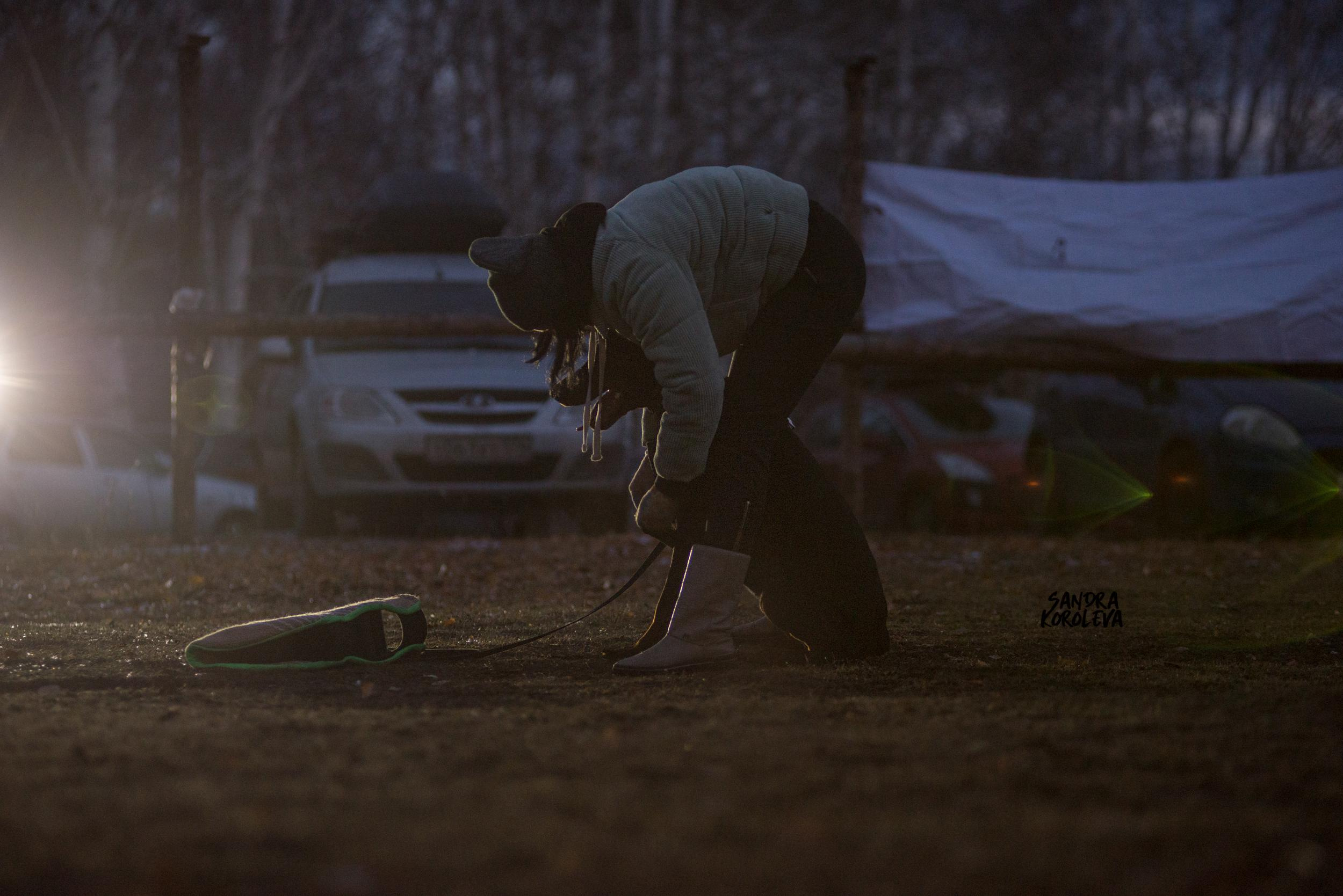 Кусающиеся собаки. Магнитогорск. Осень 2020. Дог-фотограф в Тюмени Александра Королева