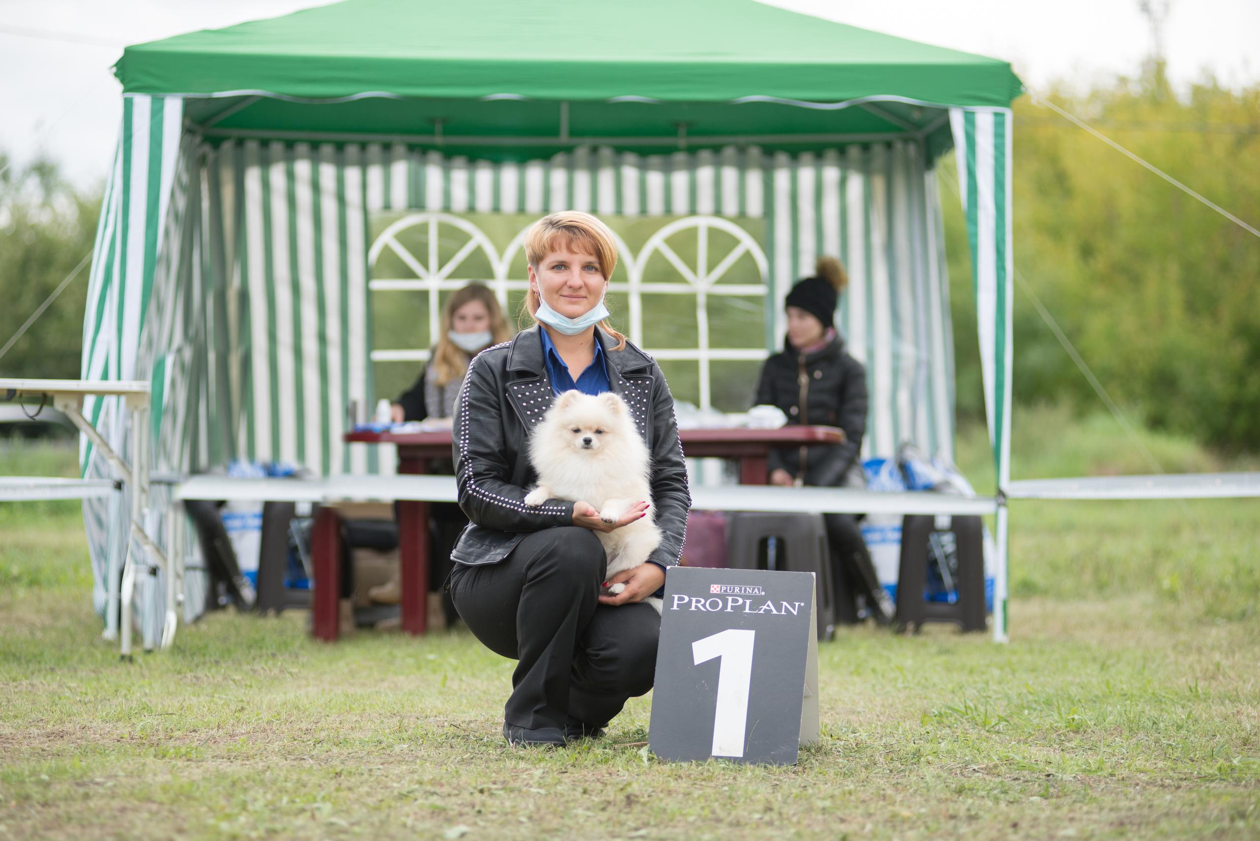 Выставка собак. Тюмень 06.09.2020. Дог-фотограф в Тюмени Александра Королева