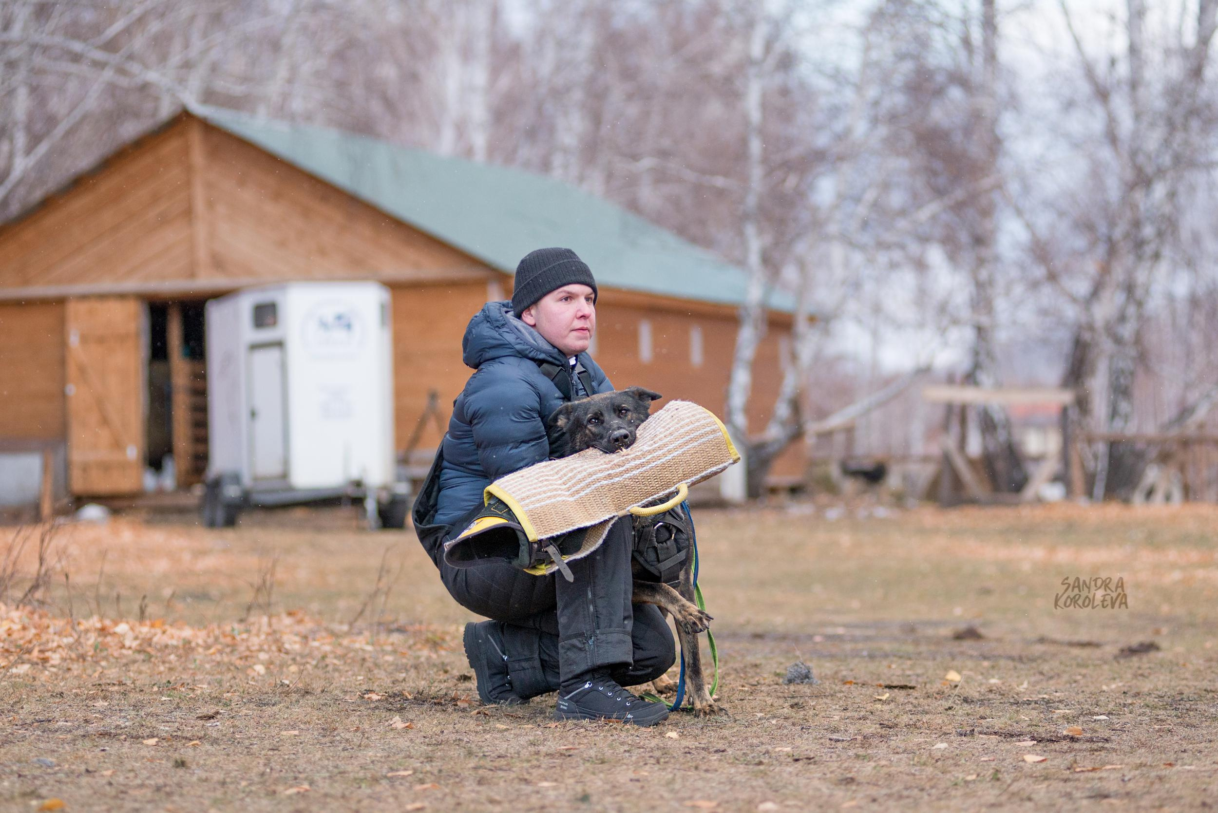 Кусающиеся собаки. Магнитогорск. Осень 2020. Дог-фотограф в Тюмени Александра Королева