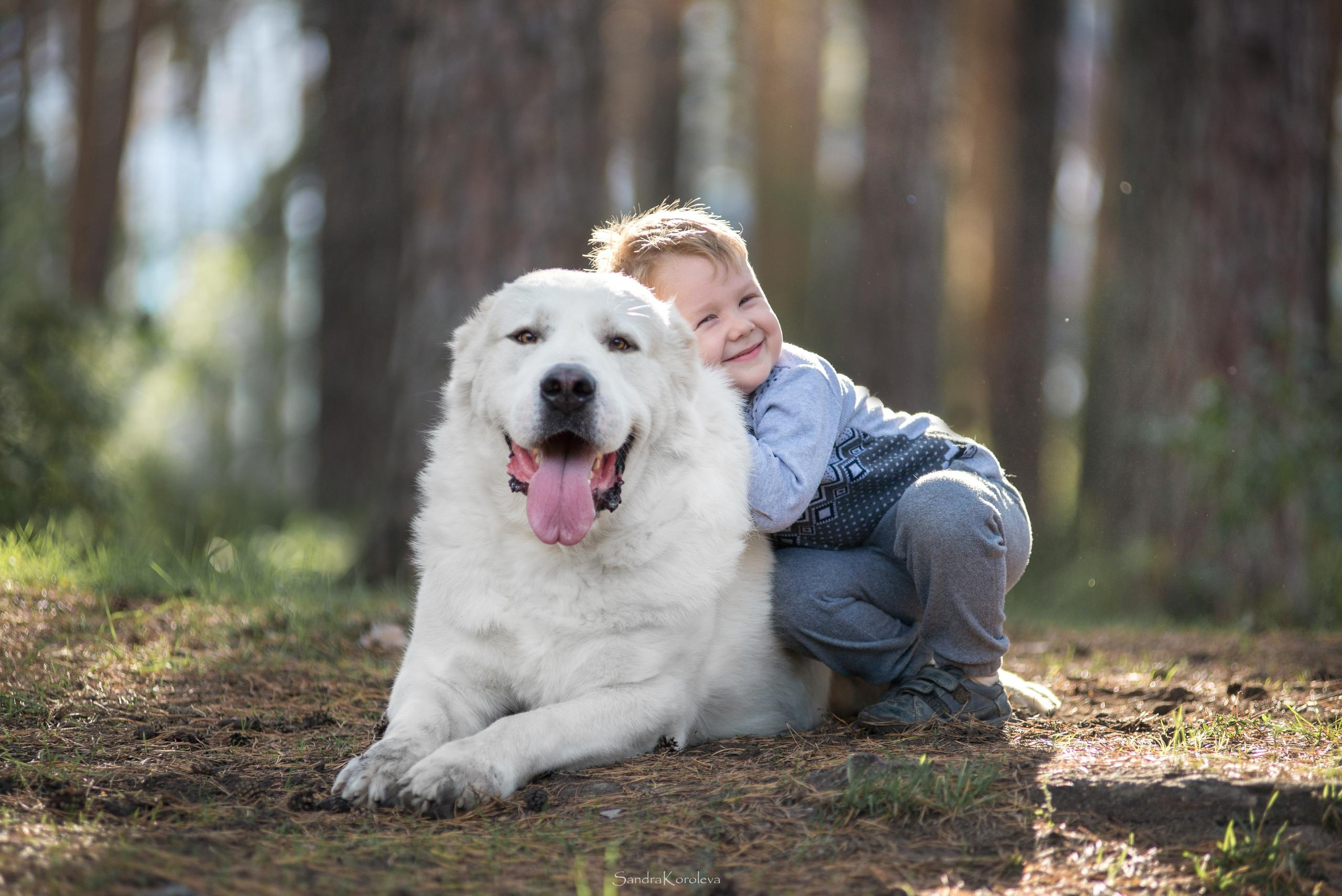 Ваня со своим другом белым Мишей. Дог-фотограф в Тюмени Александра Королева
