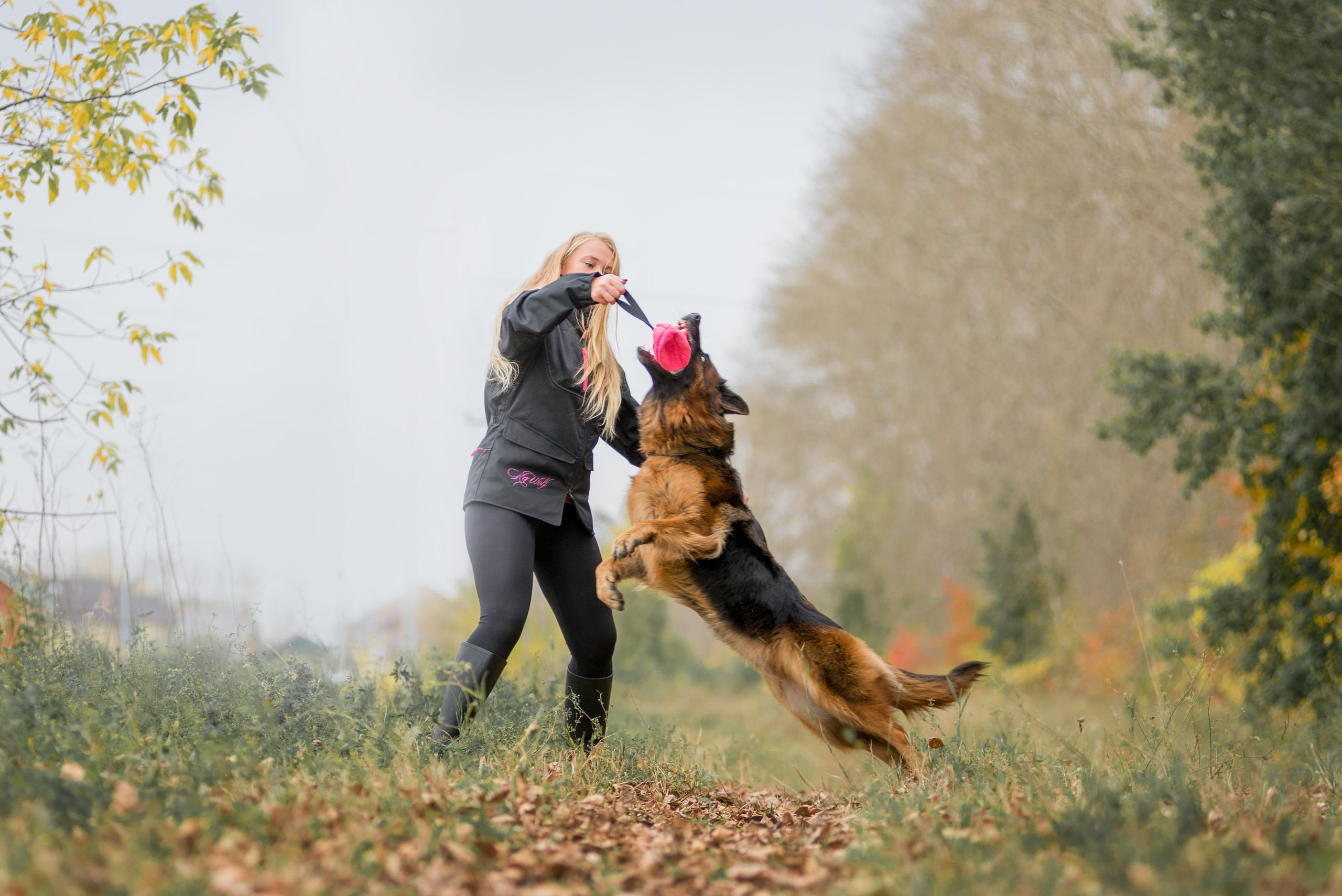 Аня и Далила. Осень 2020. Дог-фотограф в Тюмени Александра Королева