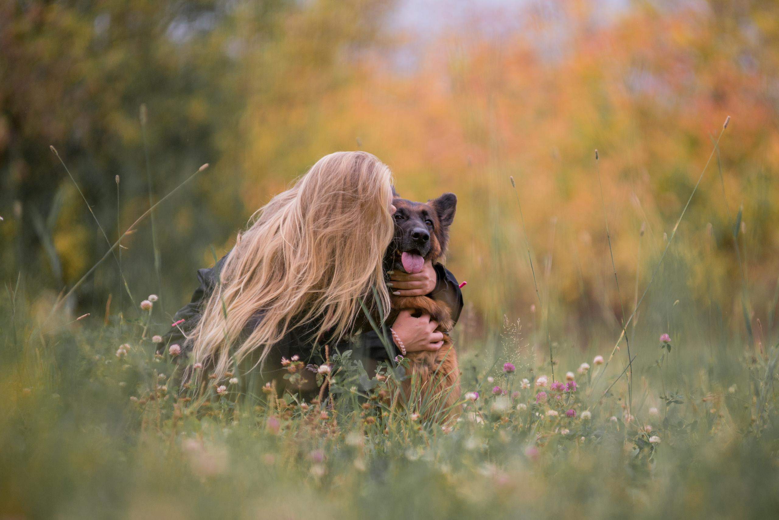 Аня и Далила. Осень 2020. Дог-фотограф в Тюмени Александра Королева