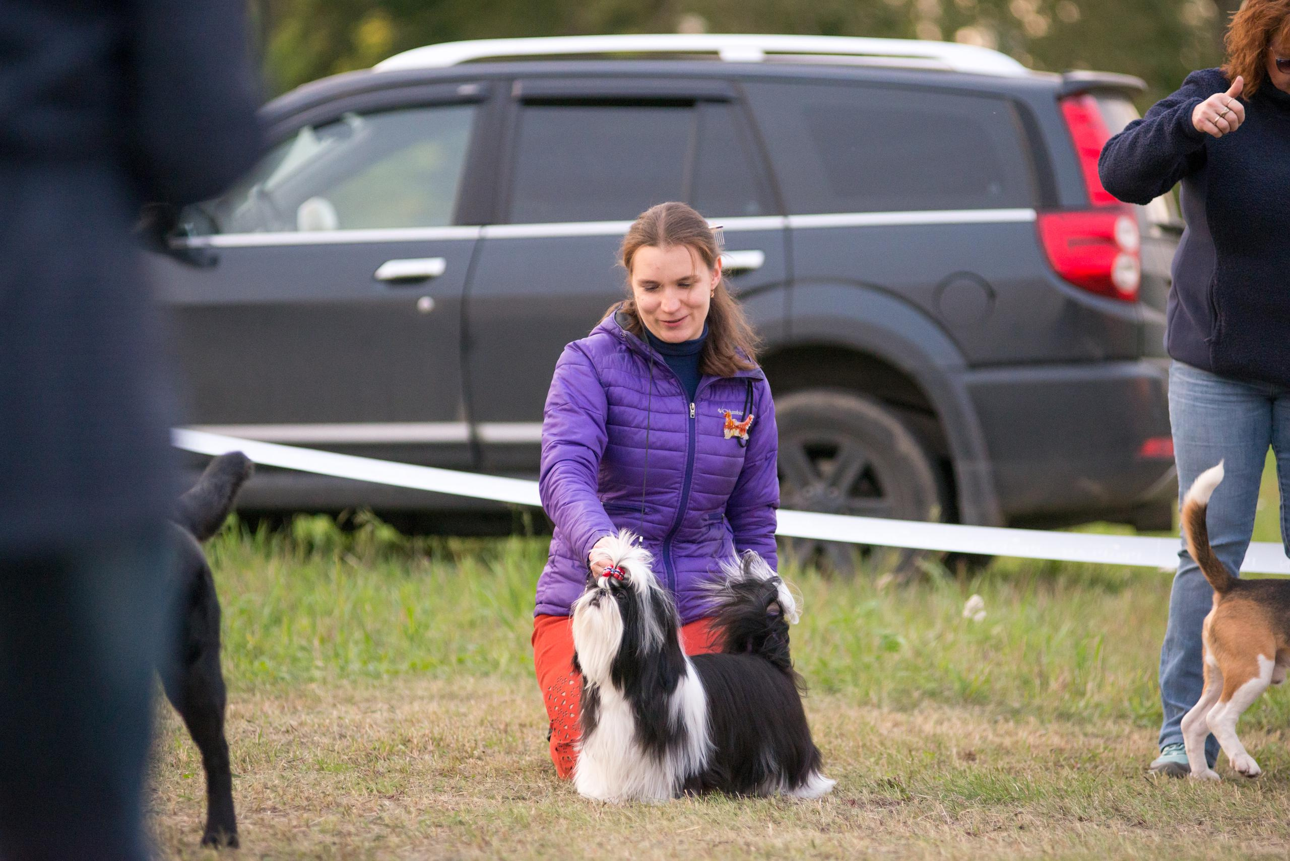 Выставка собак. Тюмень 06.09.2020. Дог-фотограф в Тюмени Александра Королева
