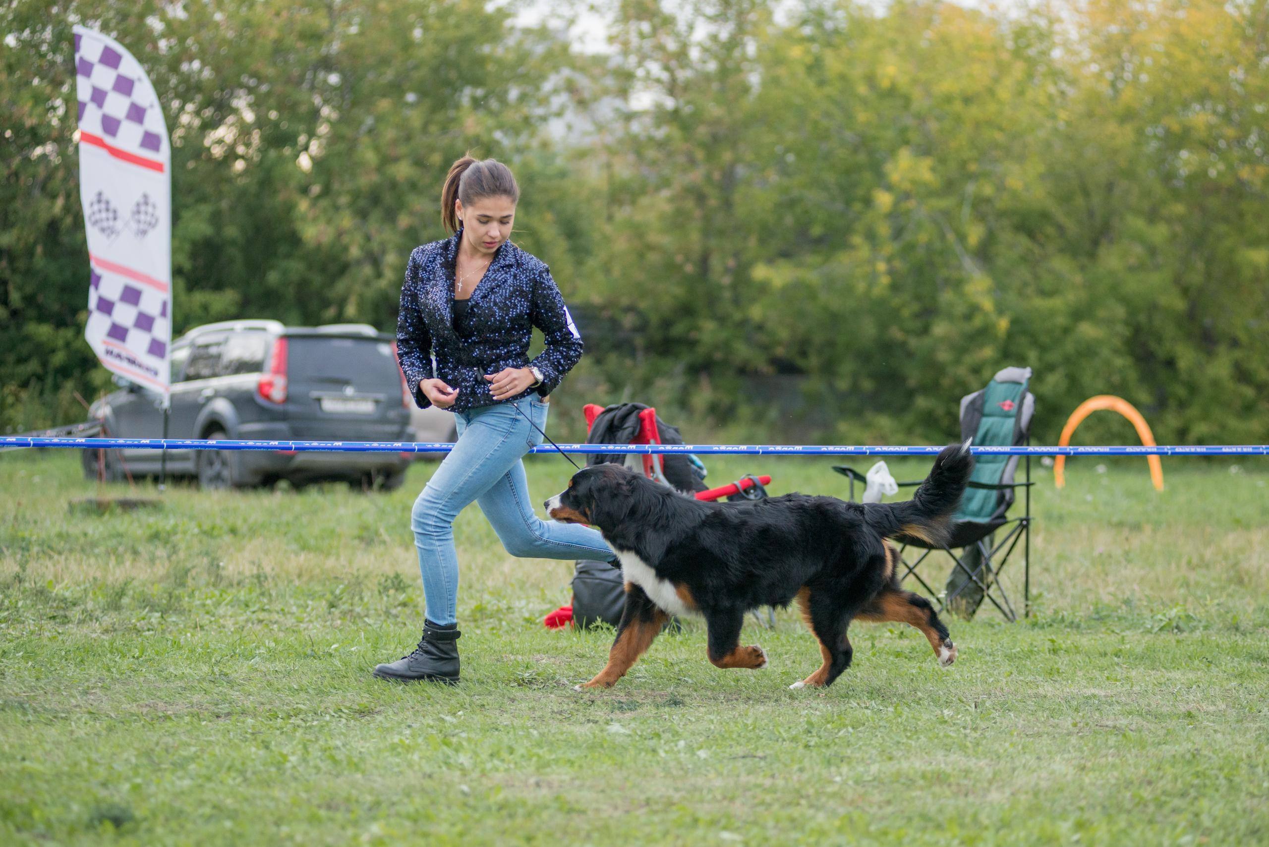 Выставка собак. Тюмень 06.09.2020. Дог-фотограф в Тюмени Александра Королева