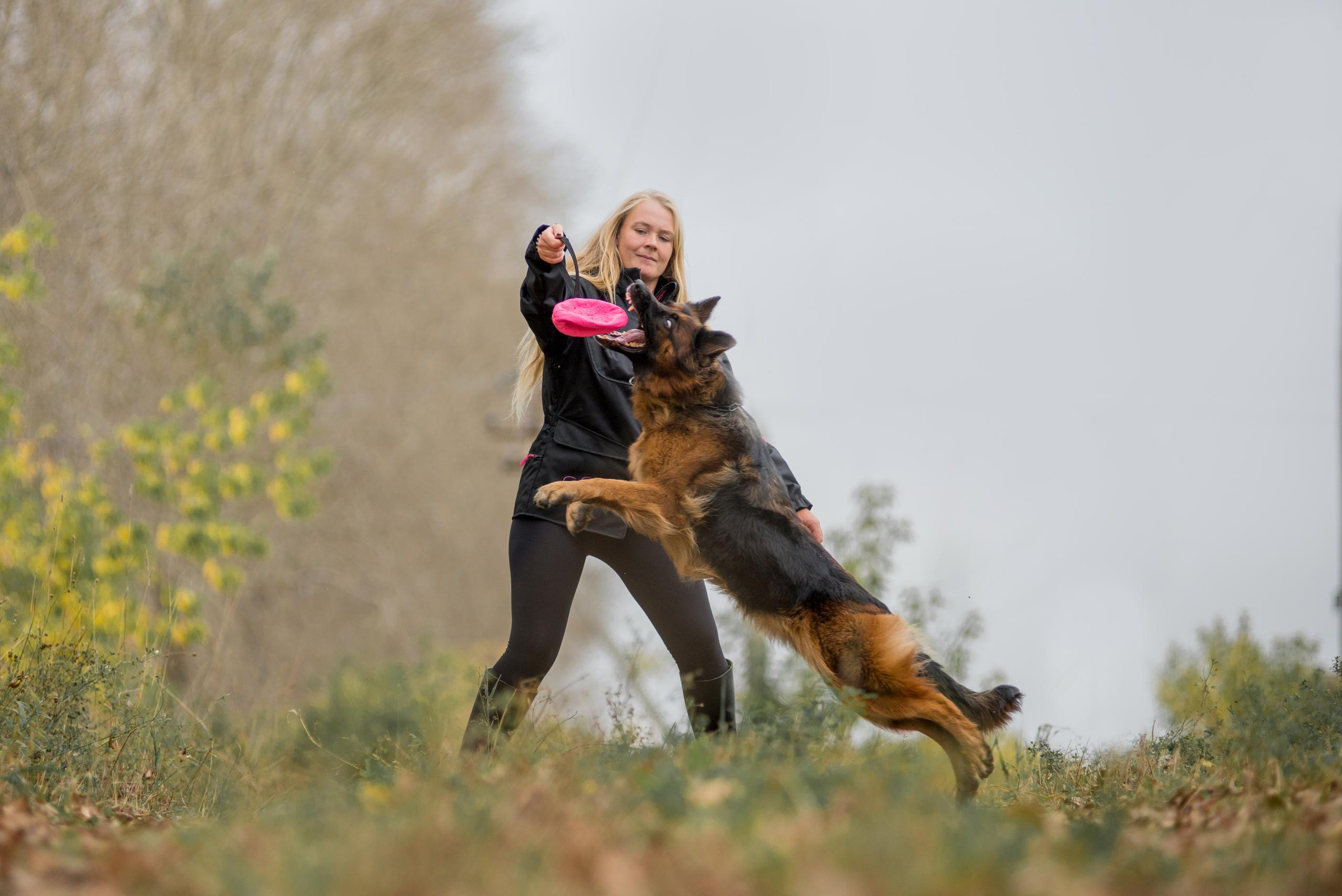 Аня и Далила. Осень 2020. Дог-фотограф в Тюмени Александра Королева