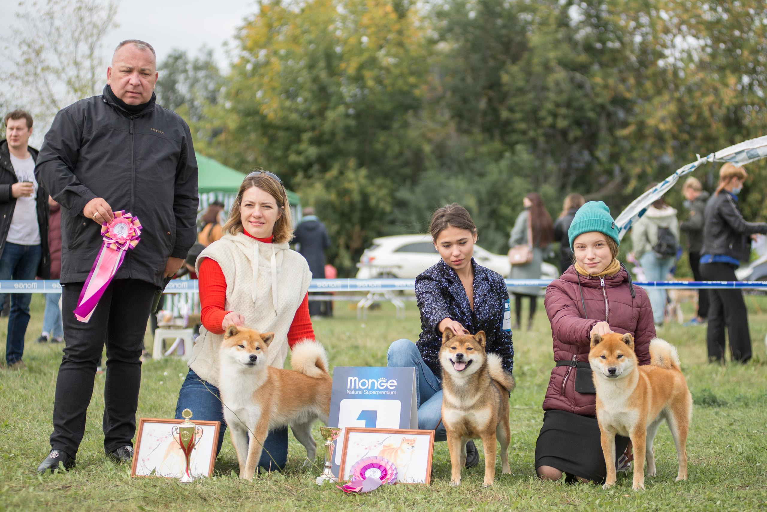 Выставка собак. Тюмень 06.09.2020. Дог-фотограф в Тюмени Александра Королева
