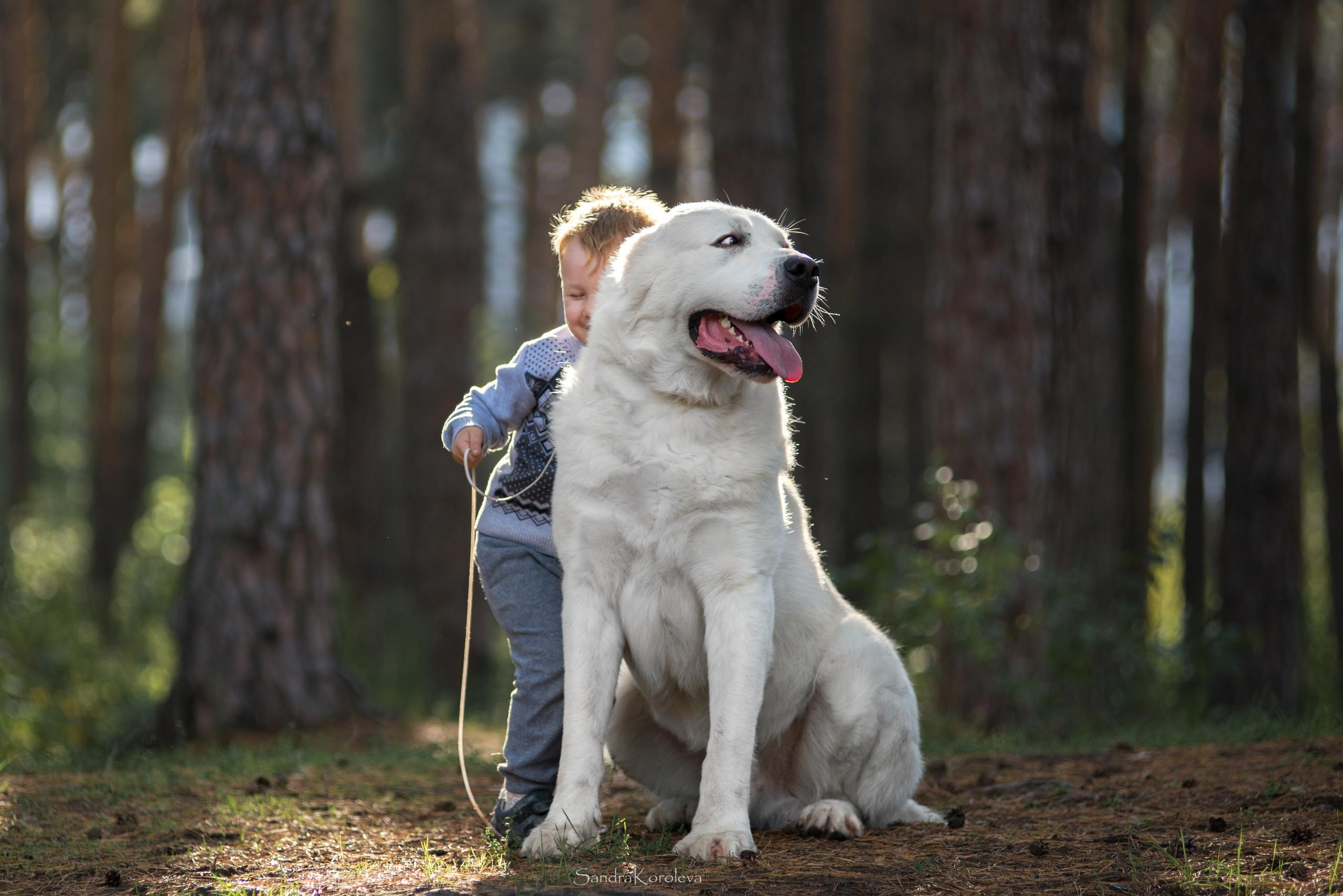 Ваня со своим другом белым Мишей. Дог-фотограф в Тюмени Александра Королева