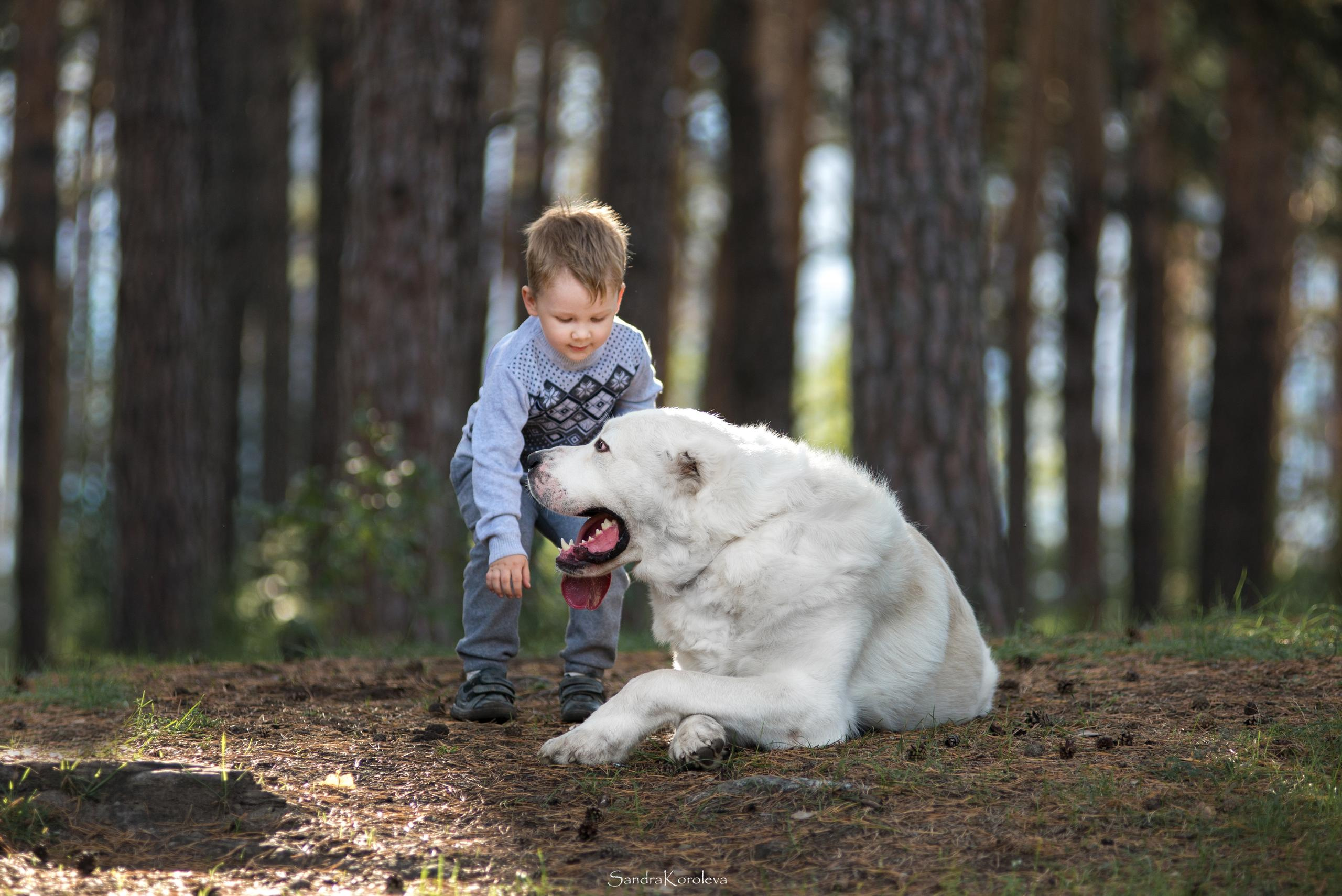 Ваня со своим другом белым Мишей. Дог-фотограф в Тюмени Александра Королева