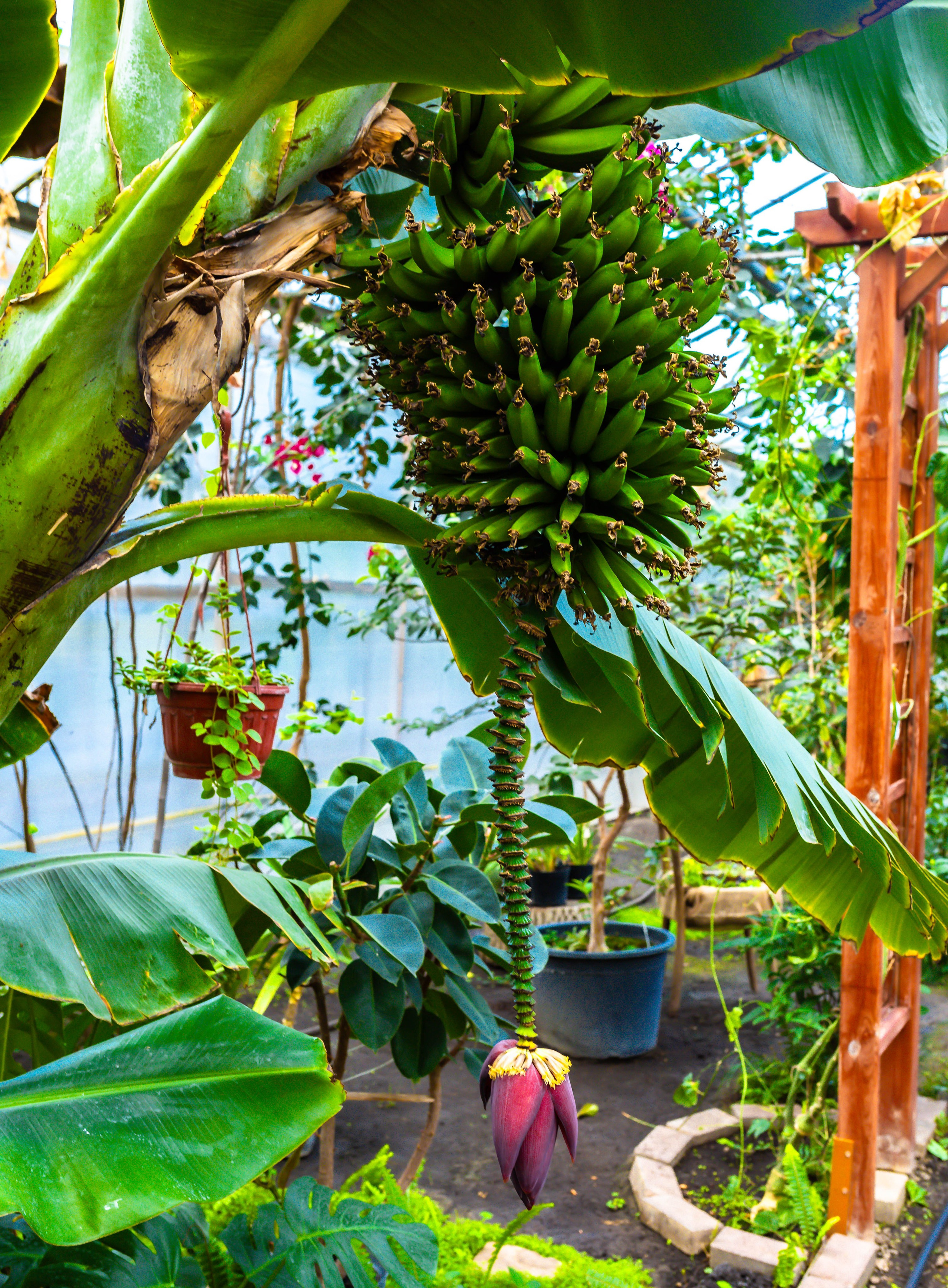 Фотографии природы Липецка. Свадебный и семейный фотограф Виолетта в Липецке