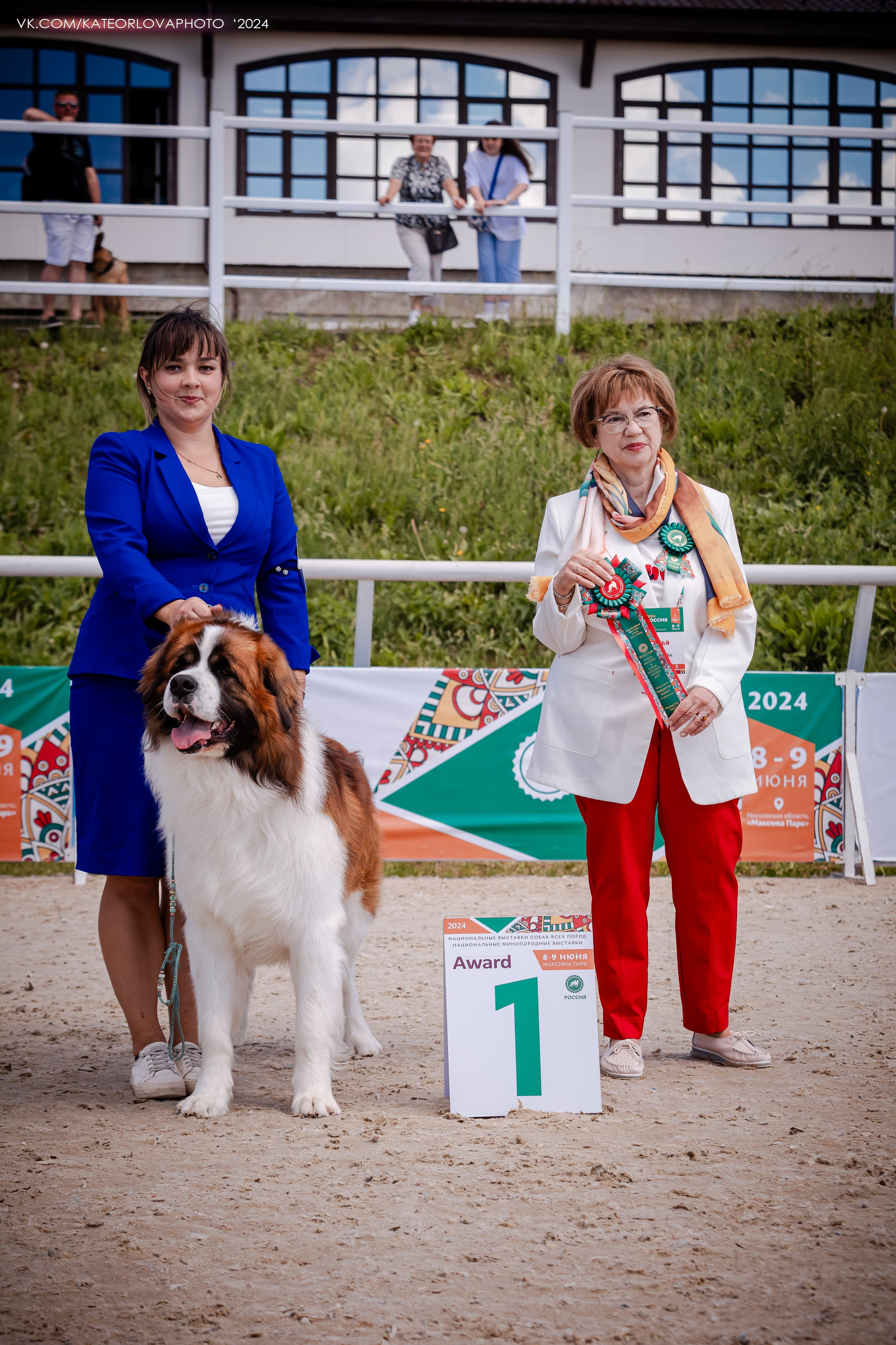 Фотосъемка собак, щенков, на выставках, фотограф анималист Россия воронеж. Питомник собак Акита, Хаски, Корги