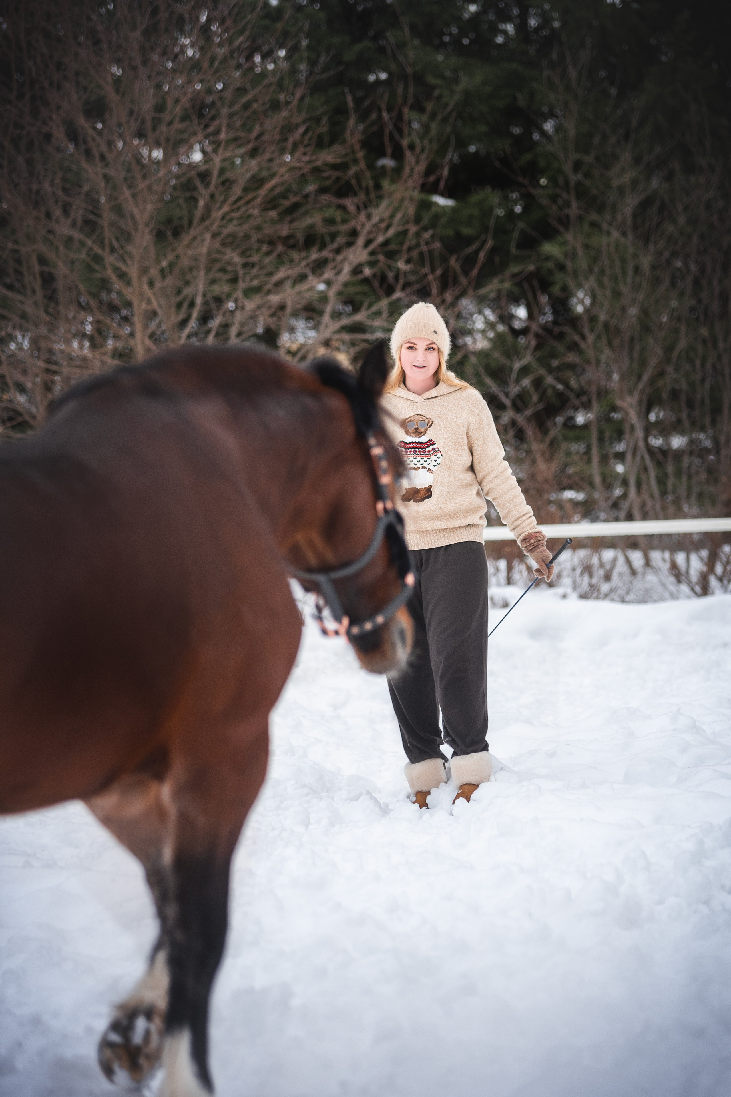 Новогодний Волконский. Конный фотограф Куракина Дарья • Фотосессии с лошадьми