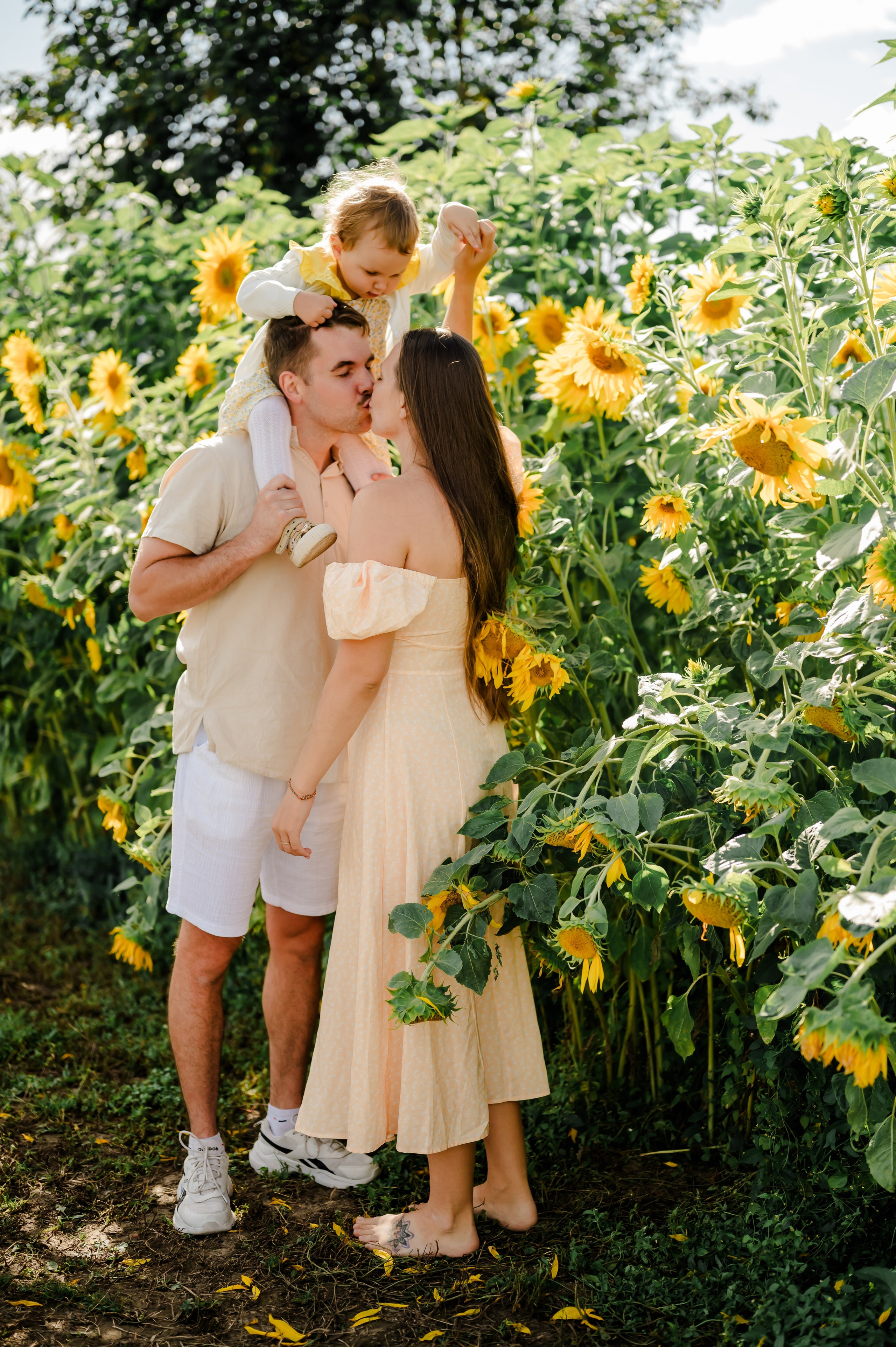 Подсолнухи. Свадебный и семейный фотограф Евгения Кононова