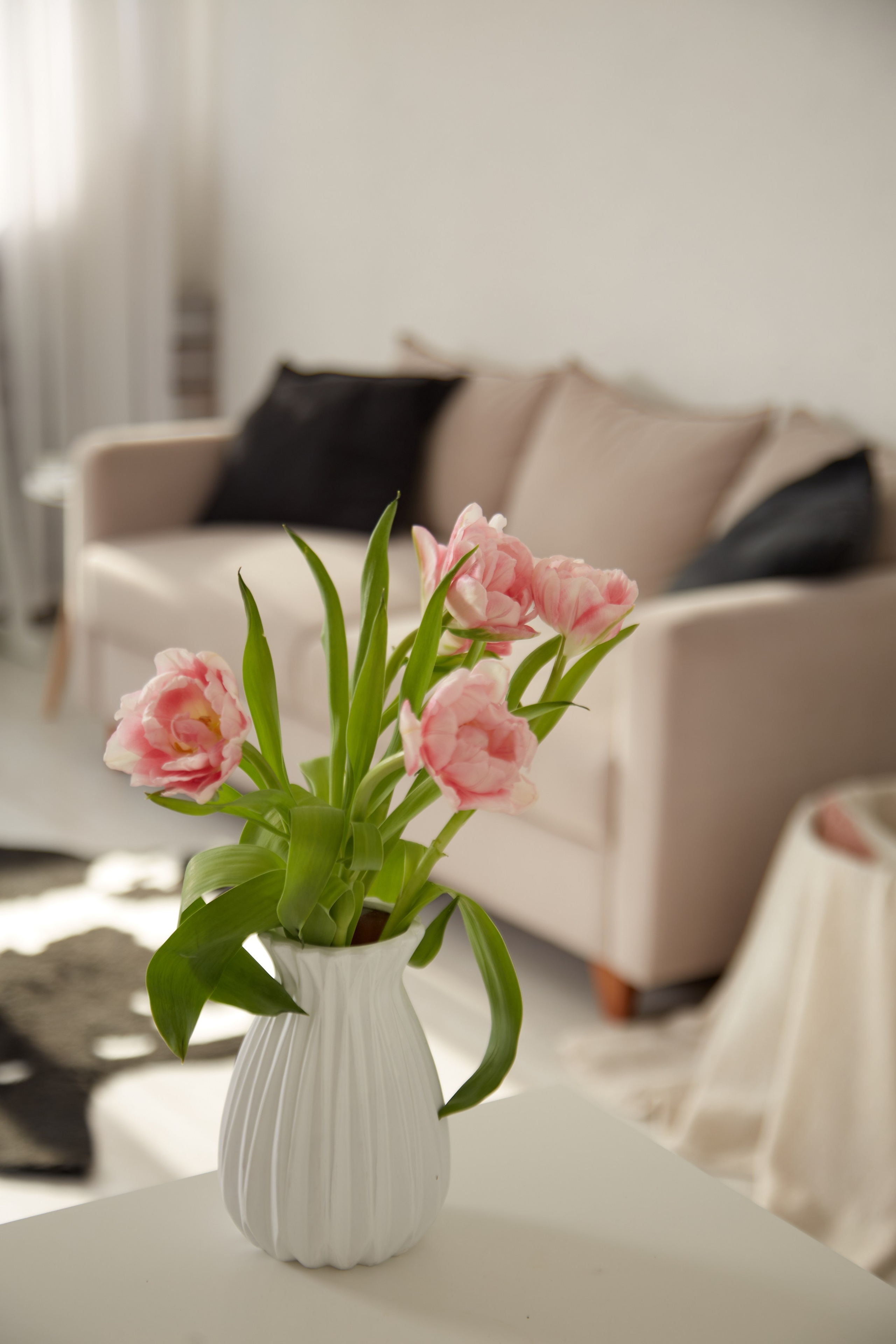 Фотостудия Prosvet. Frame Craft