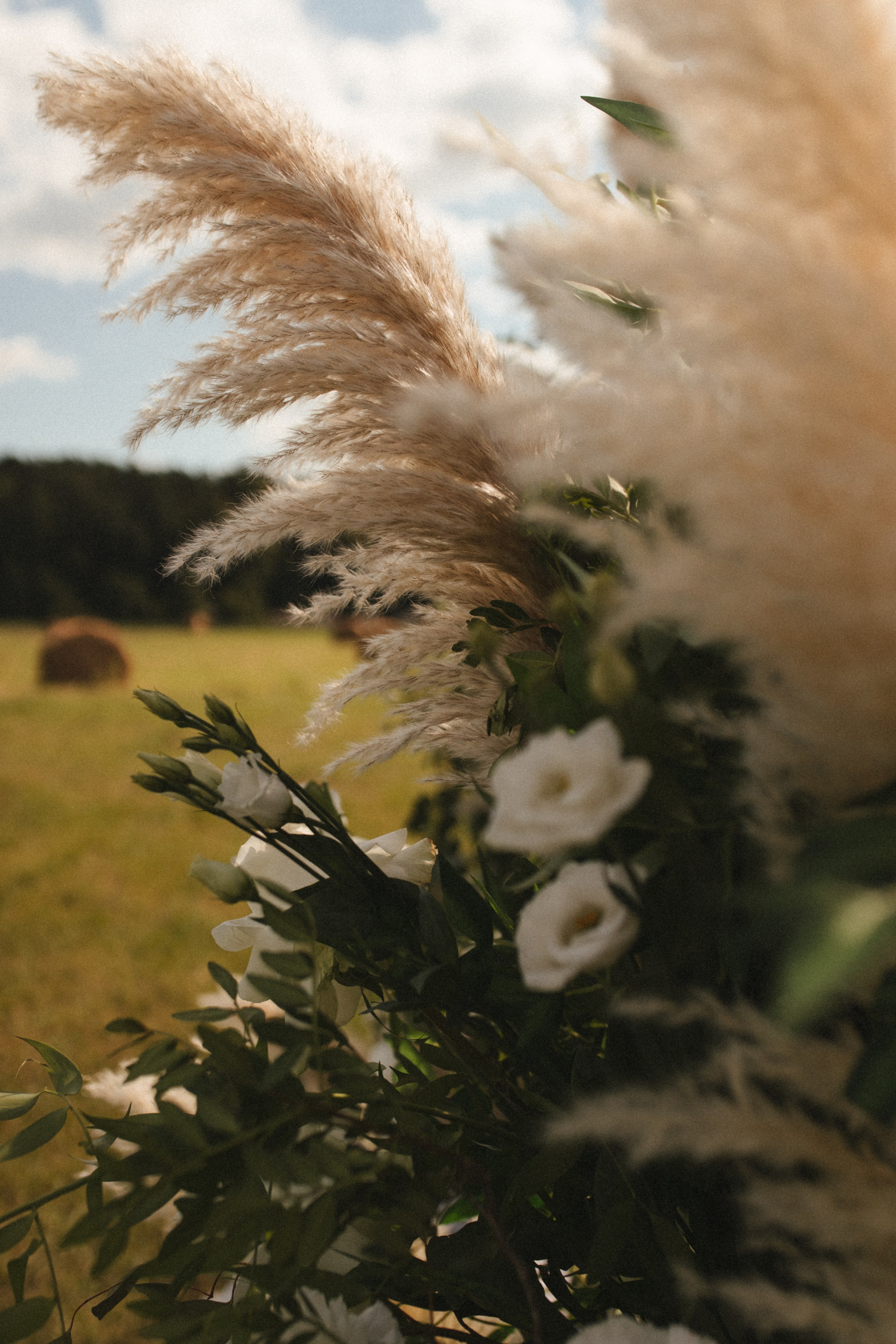 Я очень…. Свадебный и семейный фотограф в Самаре и Москве