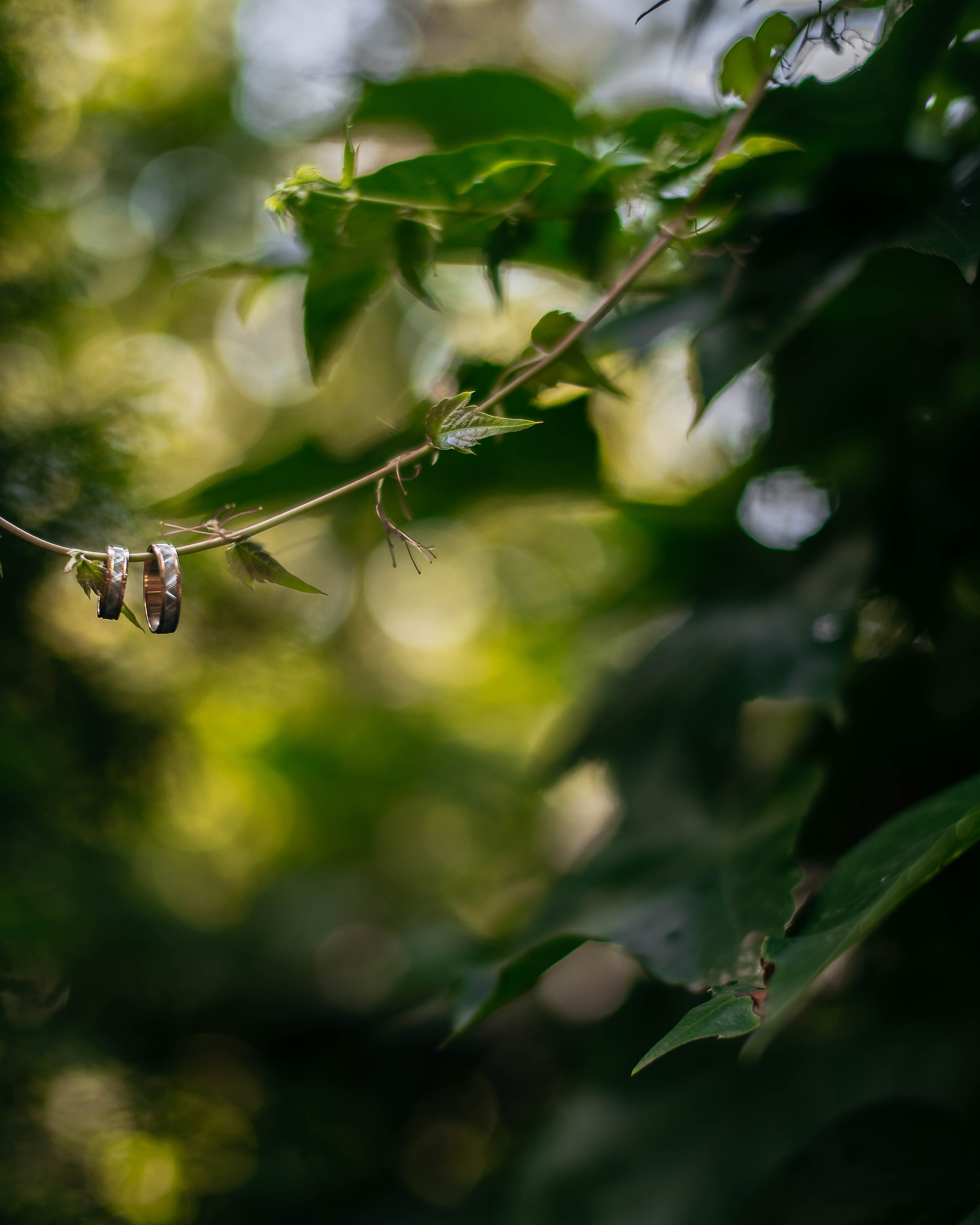 Свадебные съёмки. Фотограф Ростов-на-Дону Александрия Столицына