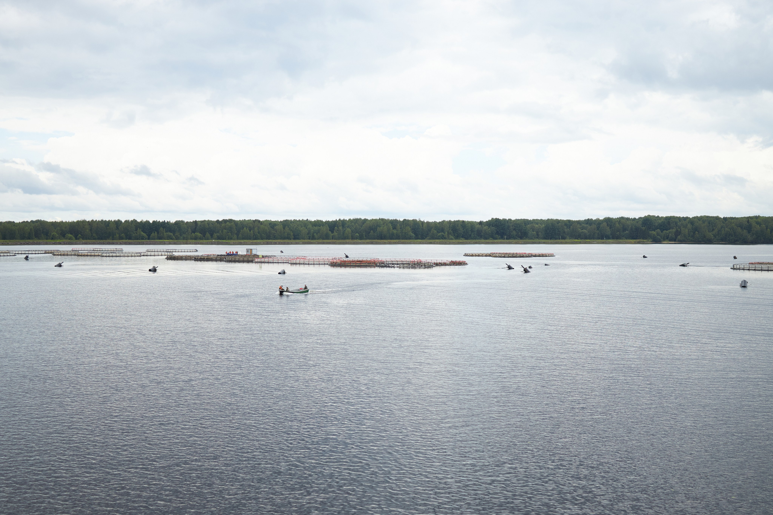 Пейзажи. Свадебный и репортажный фотограф в Воронеже Сергей Максимов