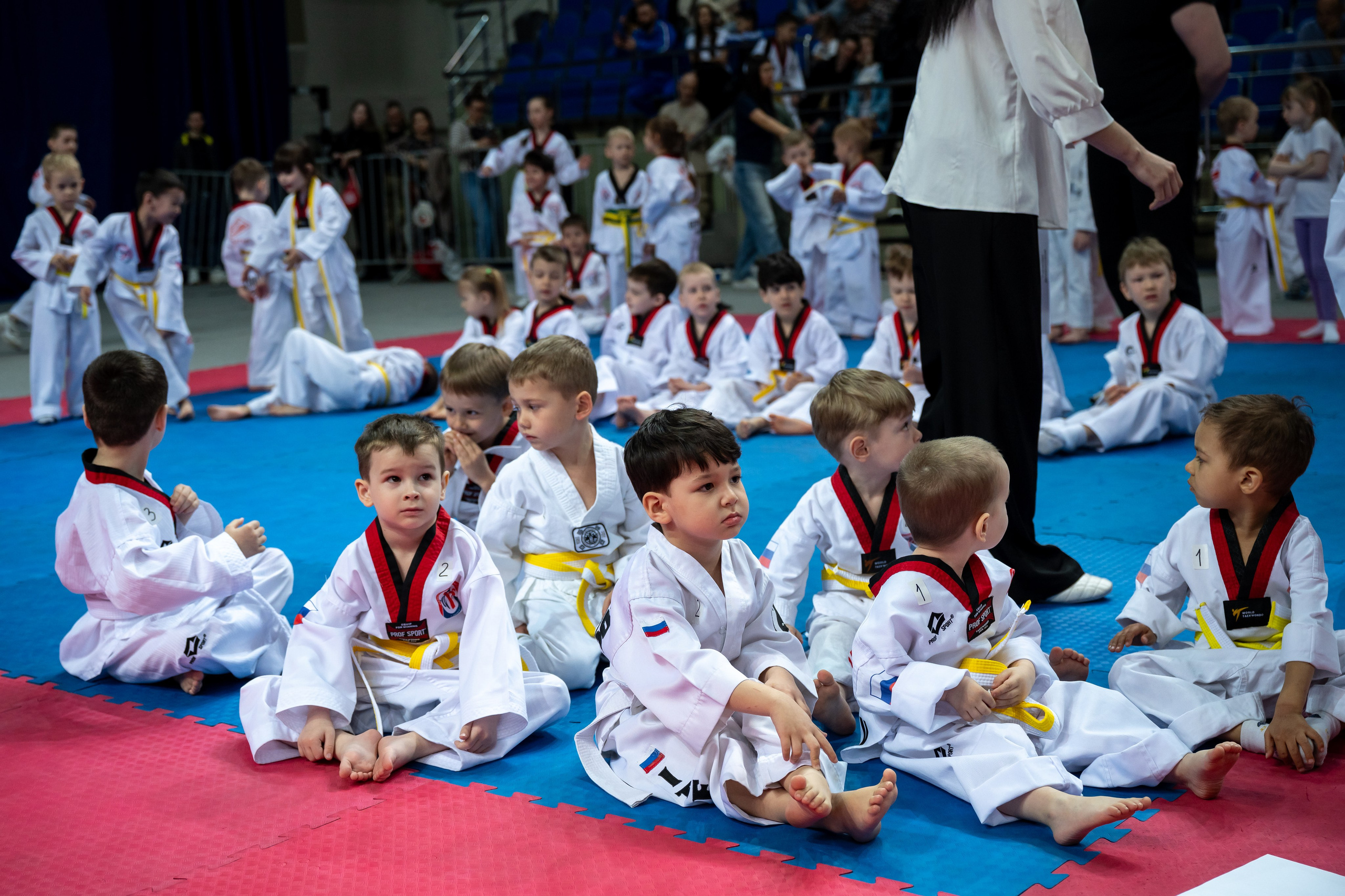 Турнир по Тхэквандо