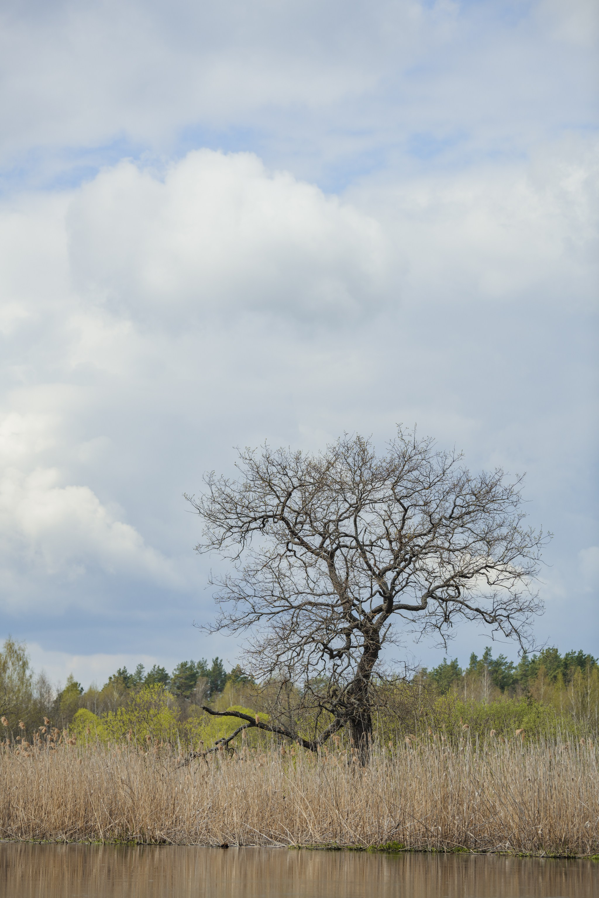 Водный поход 1-й кс по реке Случь. Репортажный фотограф Владимир Беляй