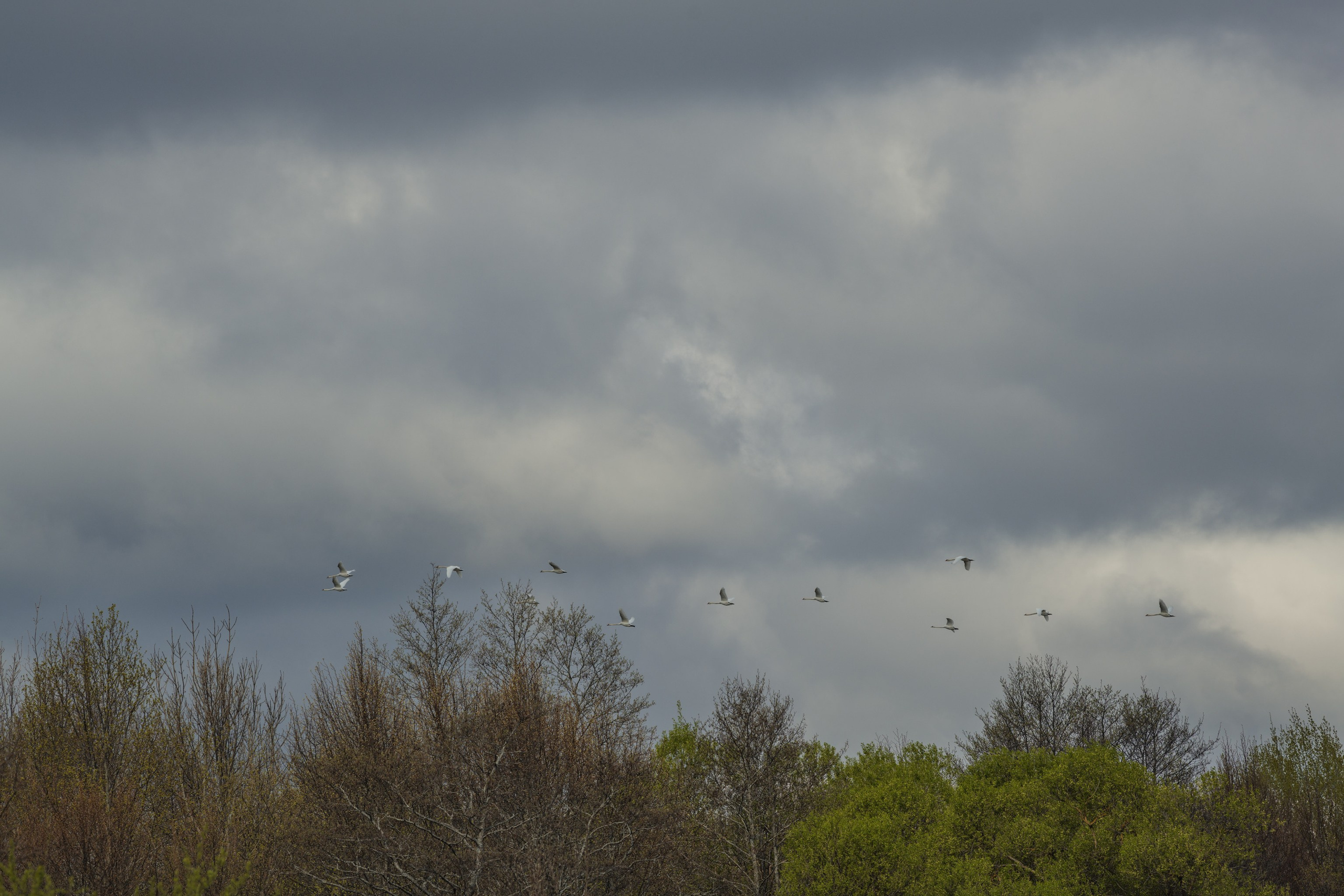 Водный поход 1-й кс по реке Случь. Репортажный фотограф Владимир Беляй