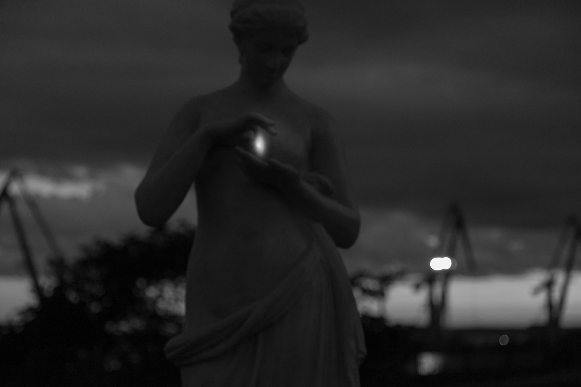 Елена Цихон художник фотографии и мастер фото-ДНК