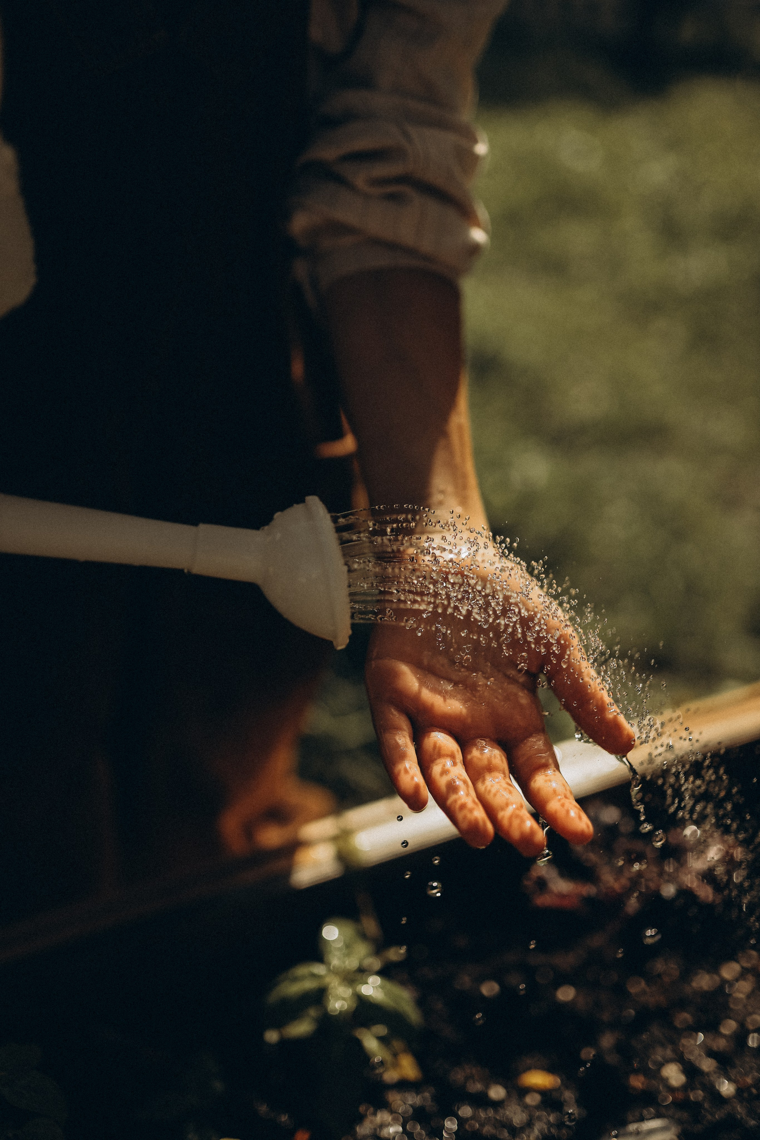 Дина и Миа в огороде. Семейный и детский фотограф в Москве Анастасия Меликова