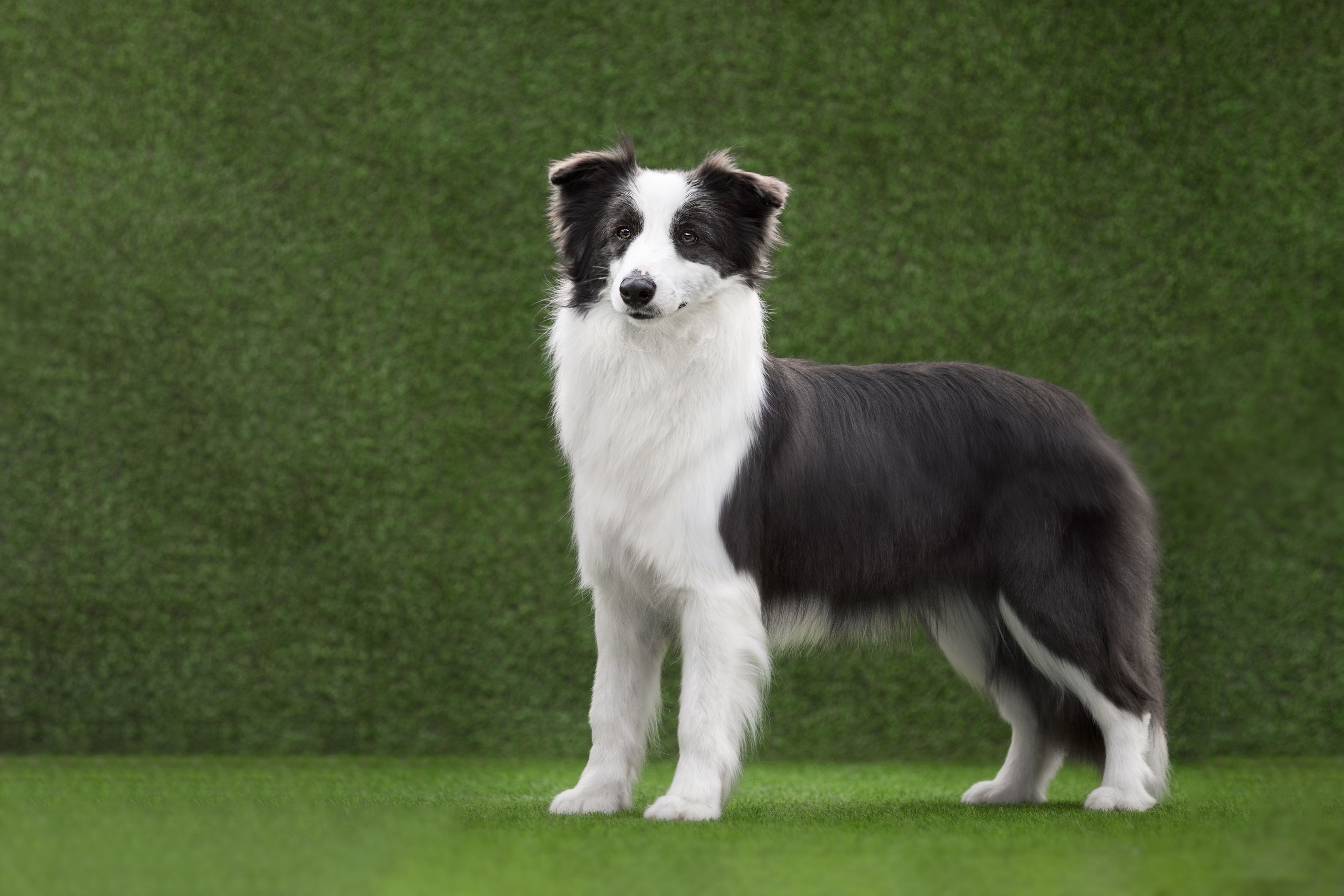 Роскошь в ростошах. О нас