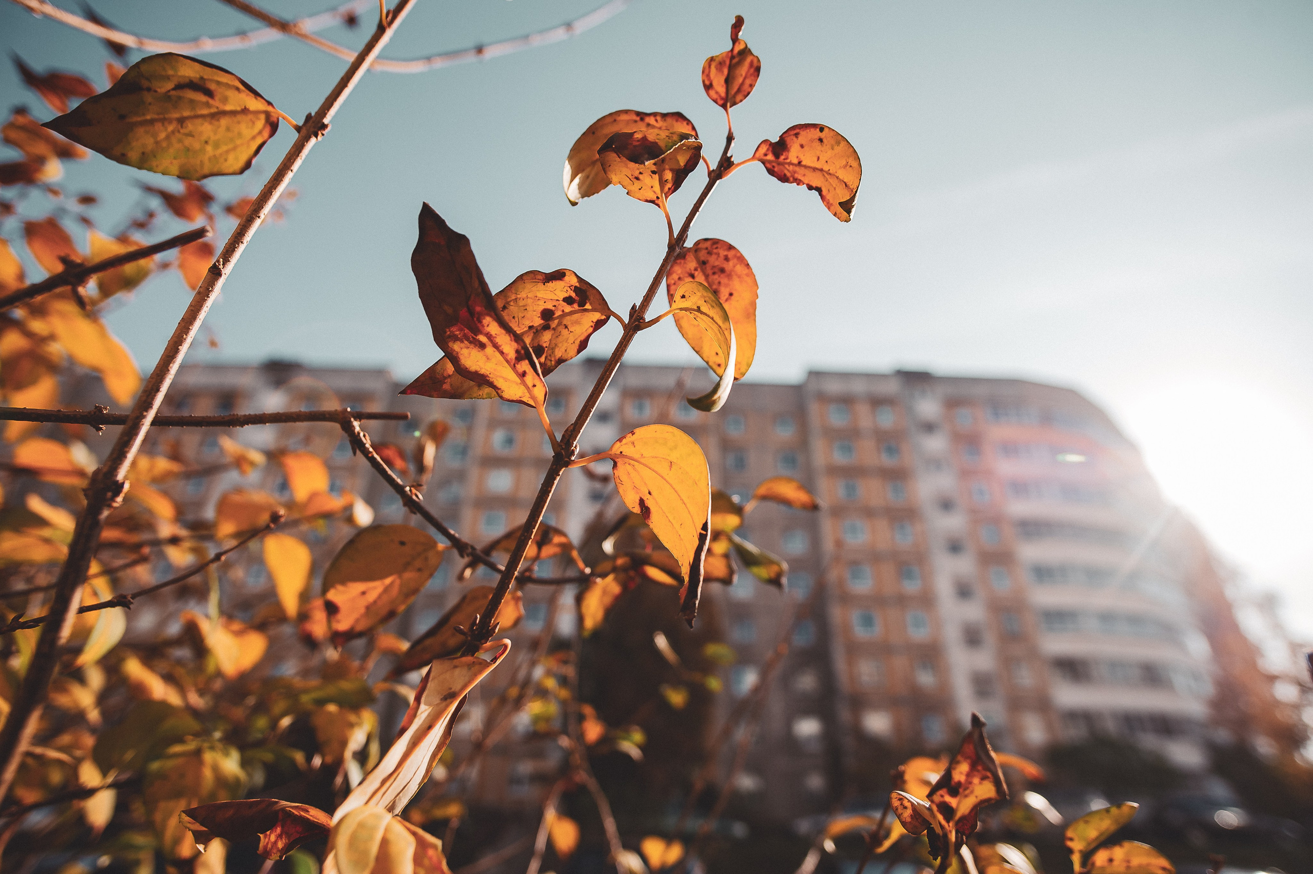 Фотосессия лав стори в минске. Фотограф love story минск. Свадебный и семейный фотограф в Минске Филиппович Александр