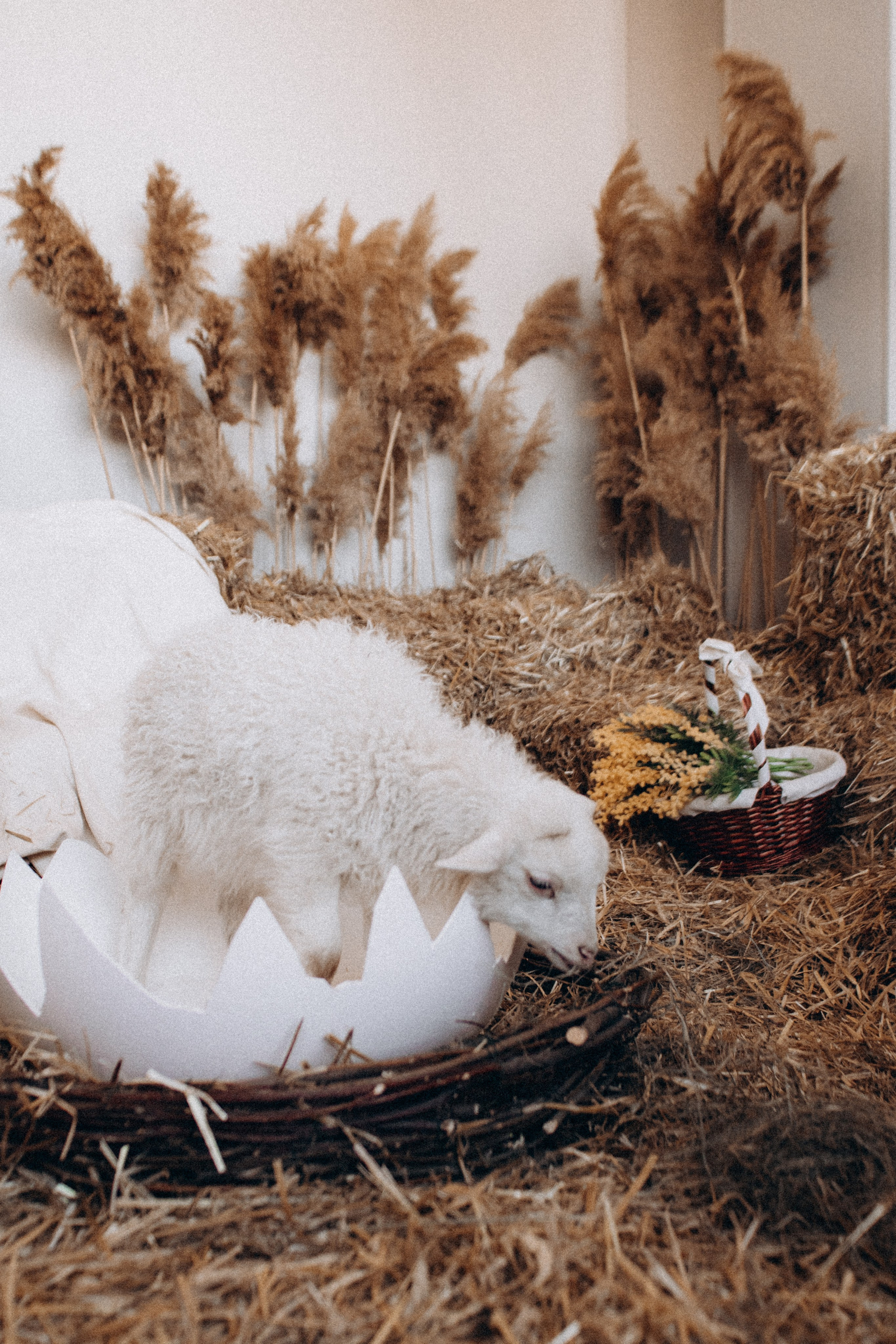 Пасхальные акварели. Фотограф Юлия Попова — JP Creative — хранитель семейной хроники в Петербурге