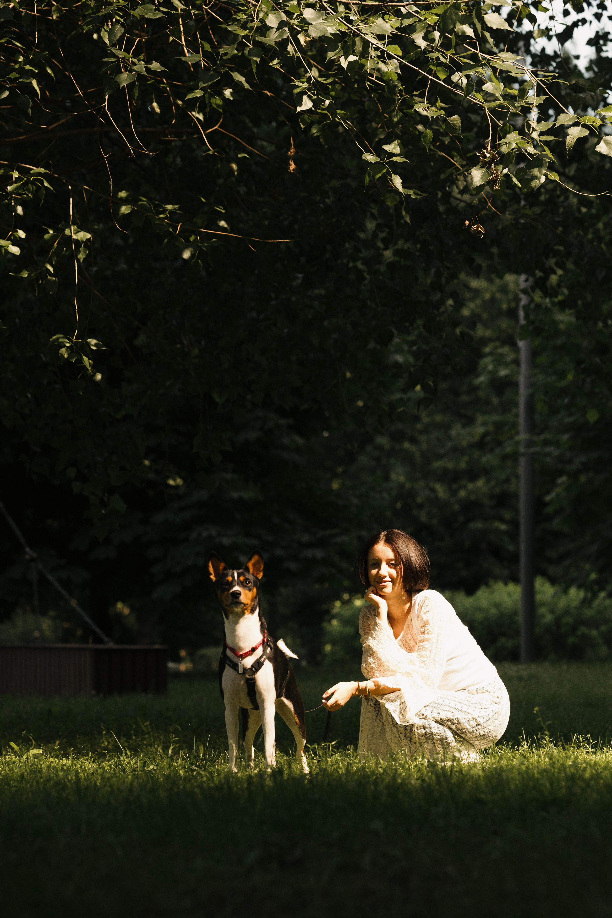 Златан. Фотограф- анималист Александра Матвеева