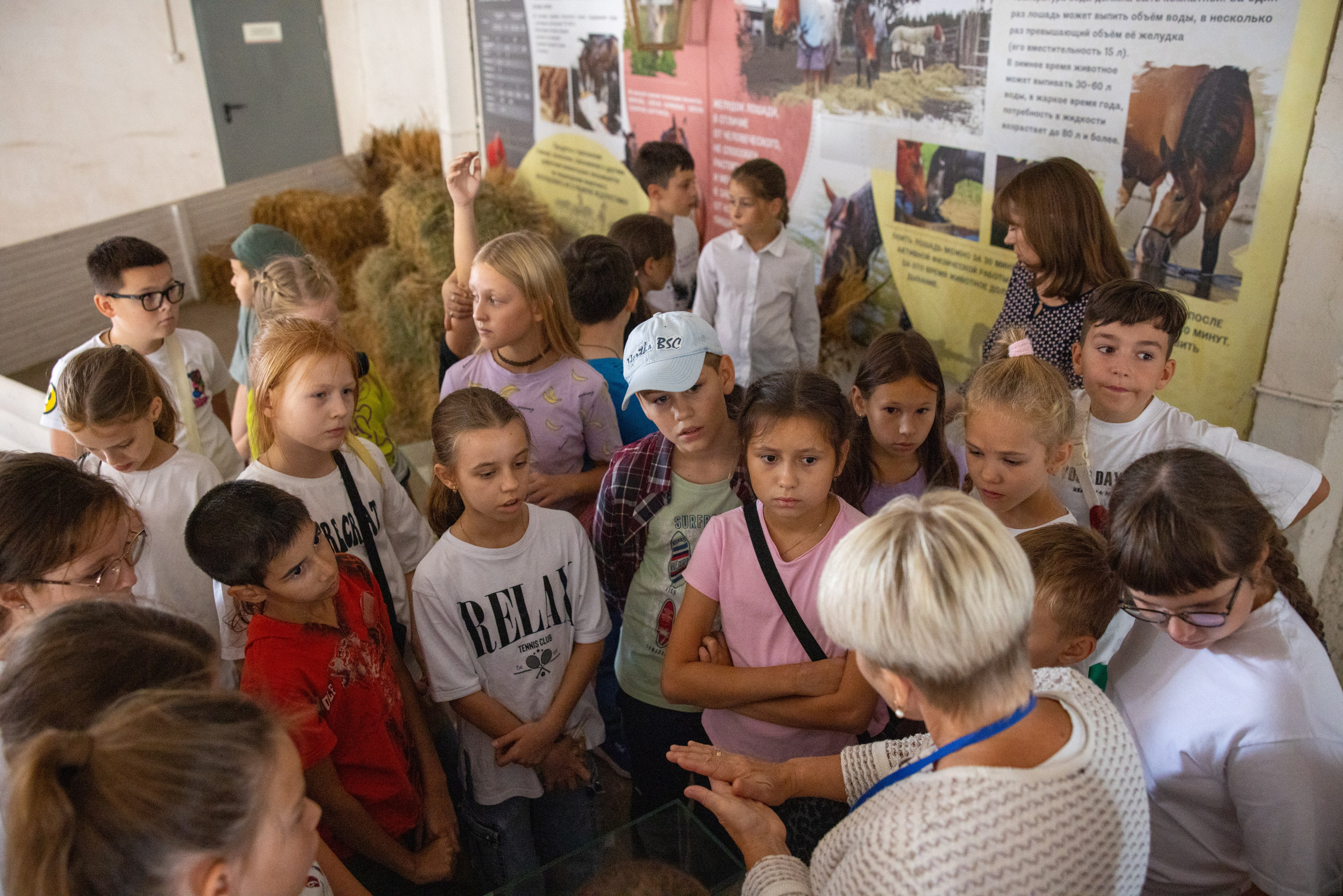 Поездка на поле Кулеково. Фотограф в Туле Крупский АнДРей. Фотостудия «КАДР71» в Туле