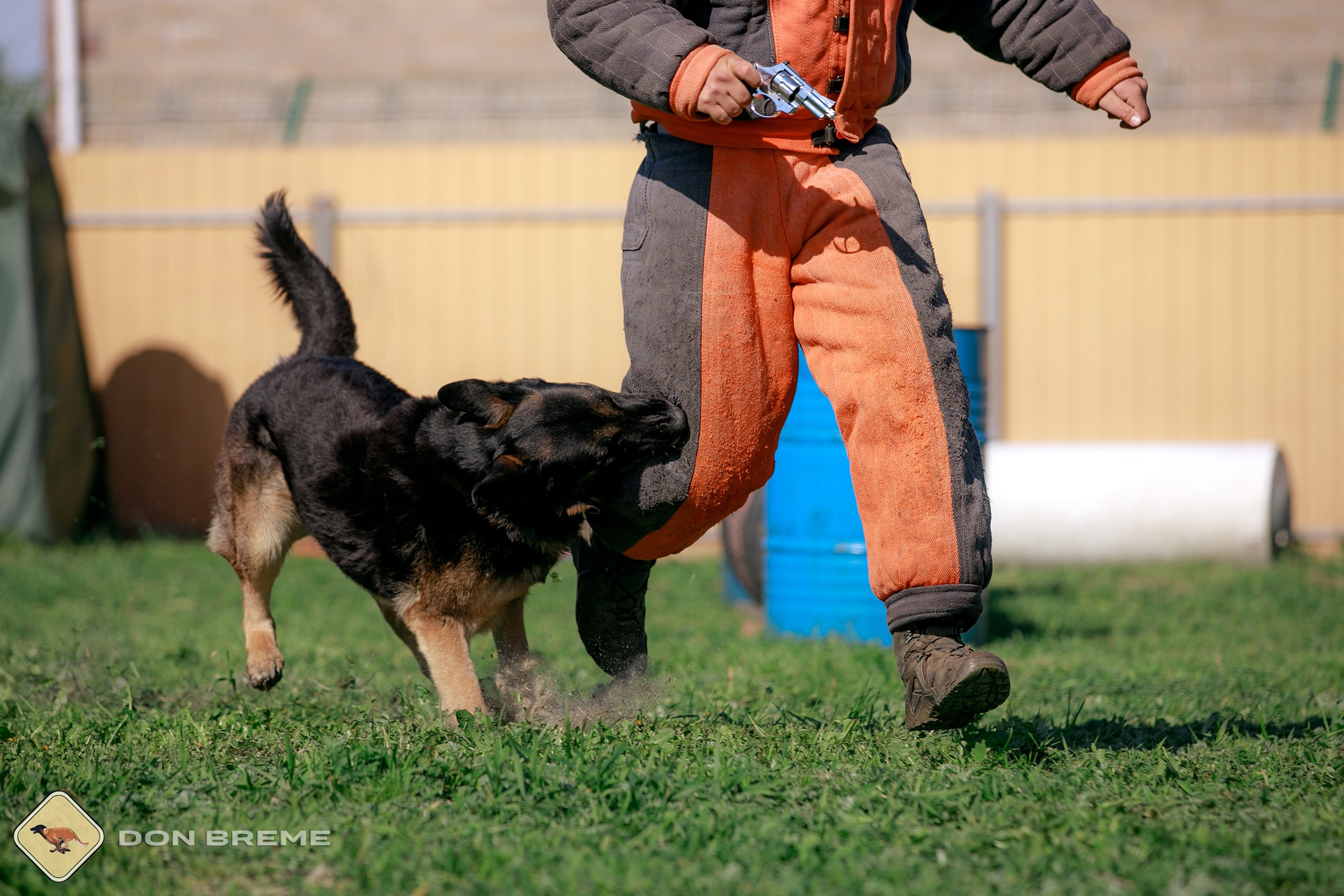 Семинар для фигурантов, день 4. Фотограф-анималист Mary Mart — Москва, Питер