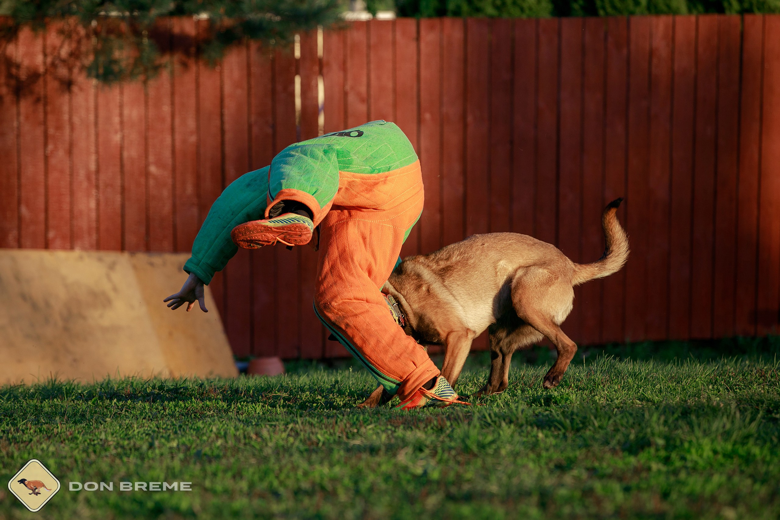 Семинар для фигурантов, день 3. Фотограф-анималист Mary Mart — Москва, Питер