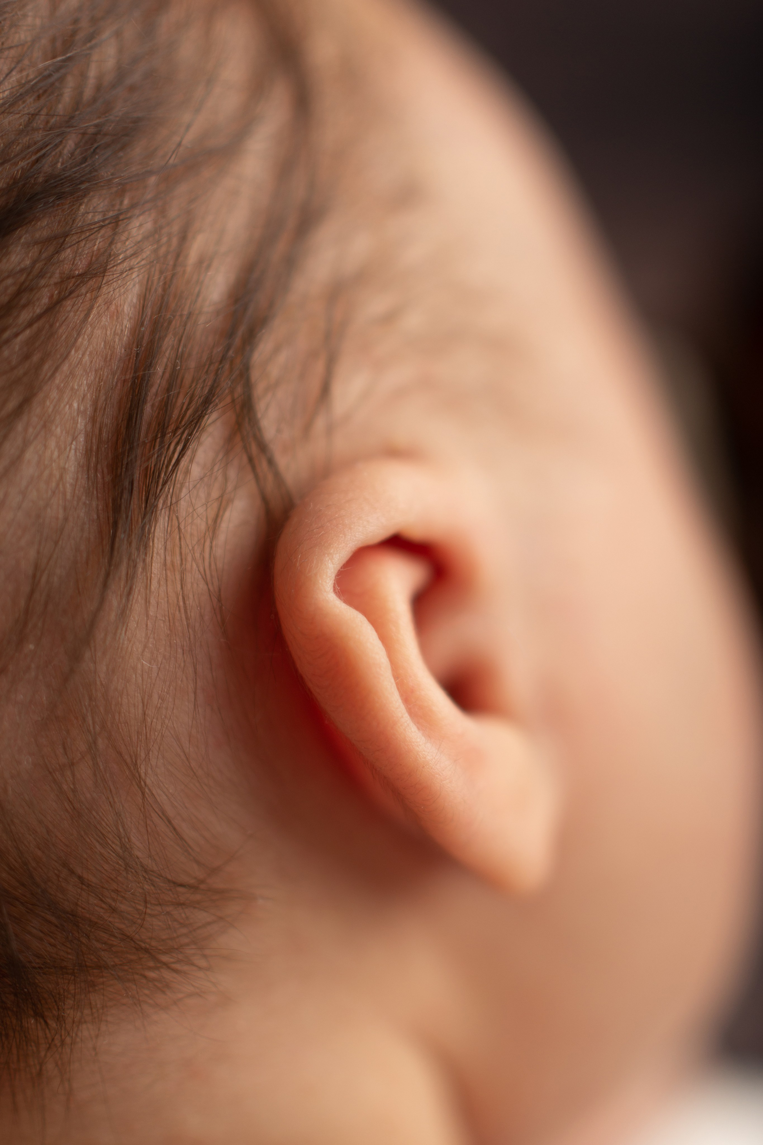 Фото новорождённых. Фотограф новорождённых в Новомосковске Яна Иванушкина