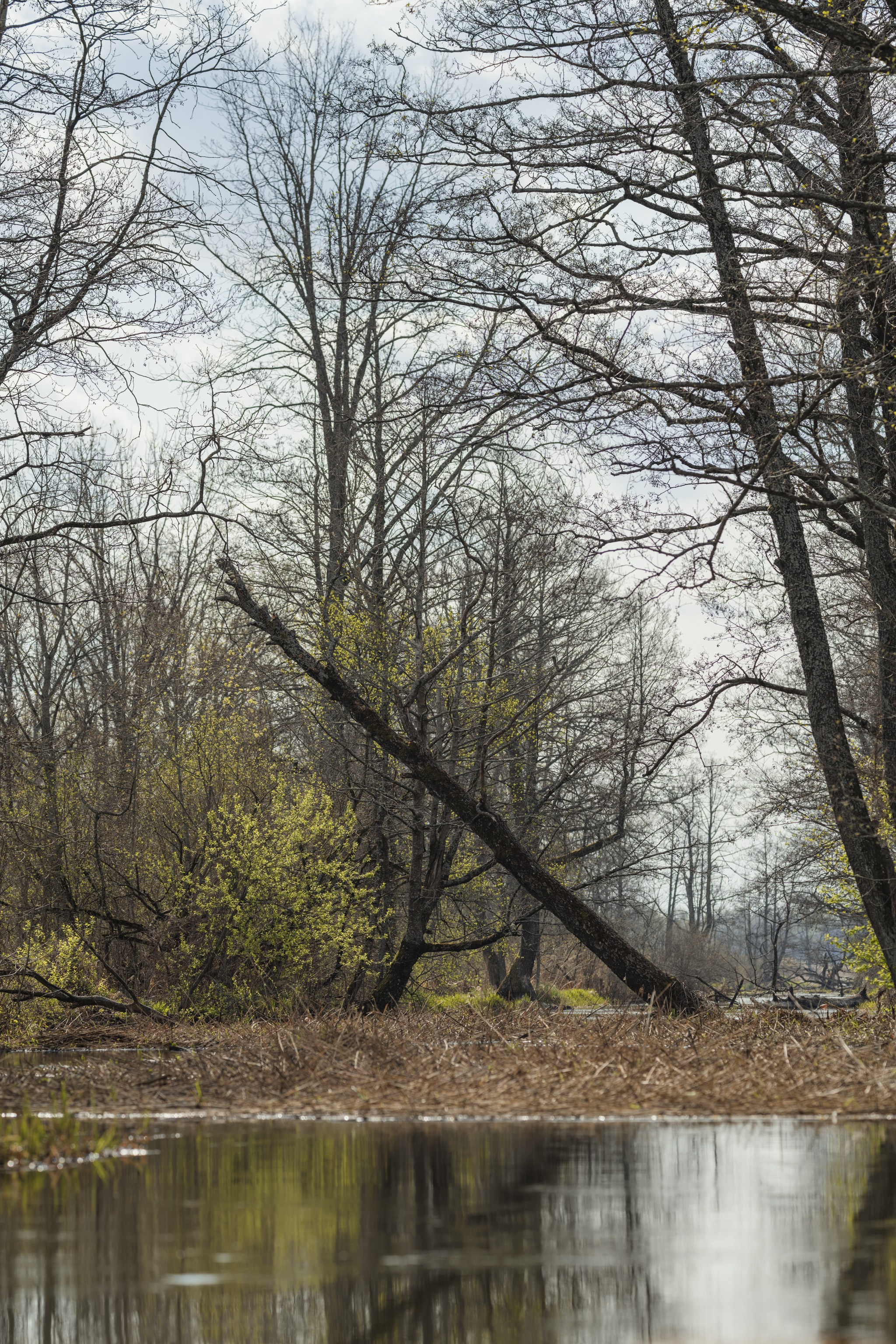 Водный поход 1-й кс по реке Случь. Репортажный фотограф Владимир Беляй