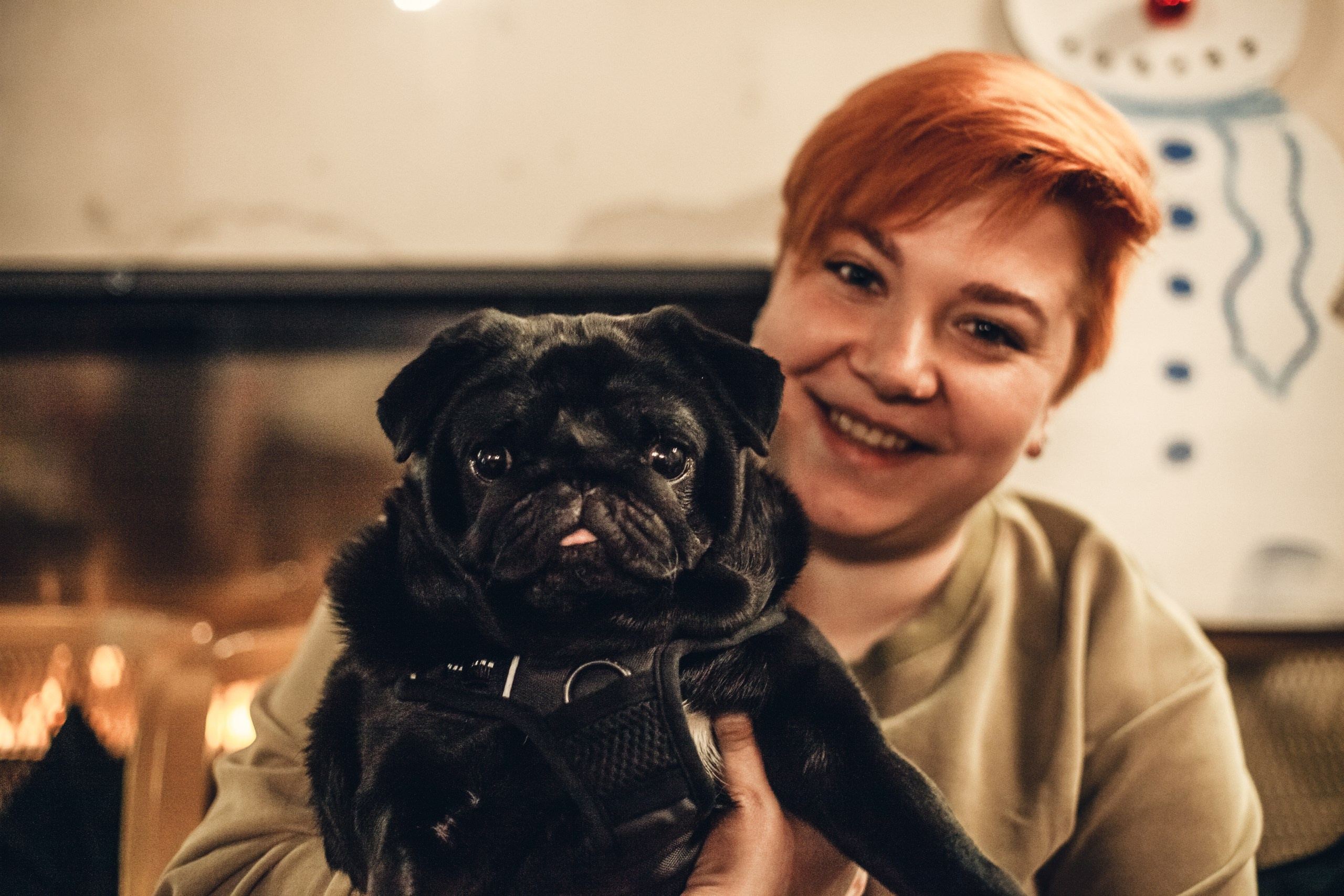 Мопсовстреча 02.12.2023. Фотограф-анималист Татьяна Степанова