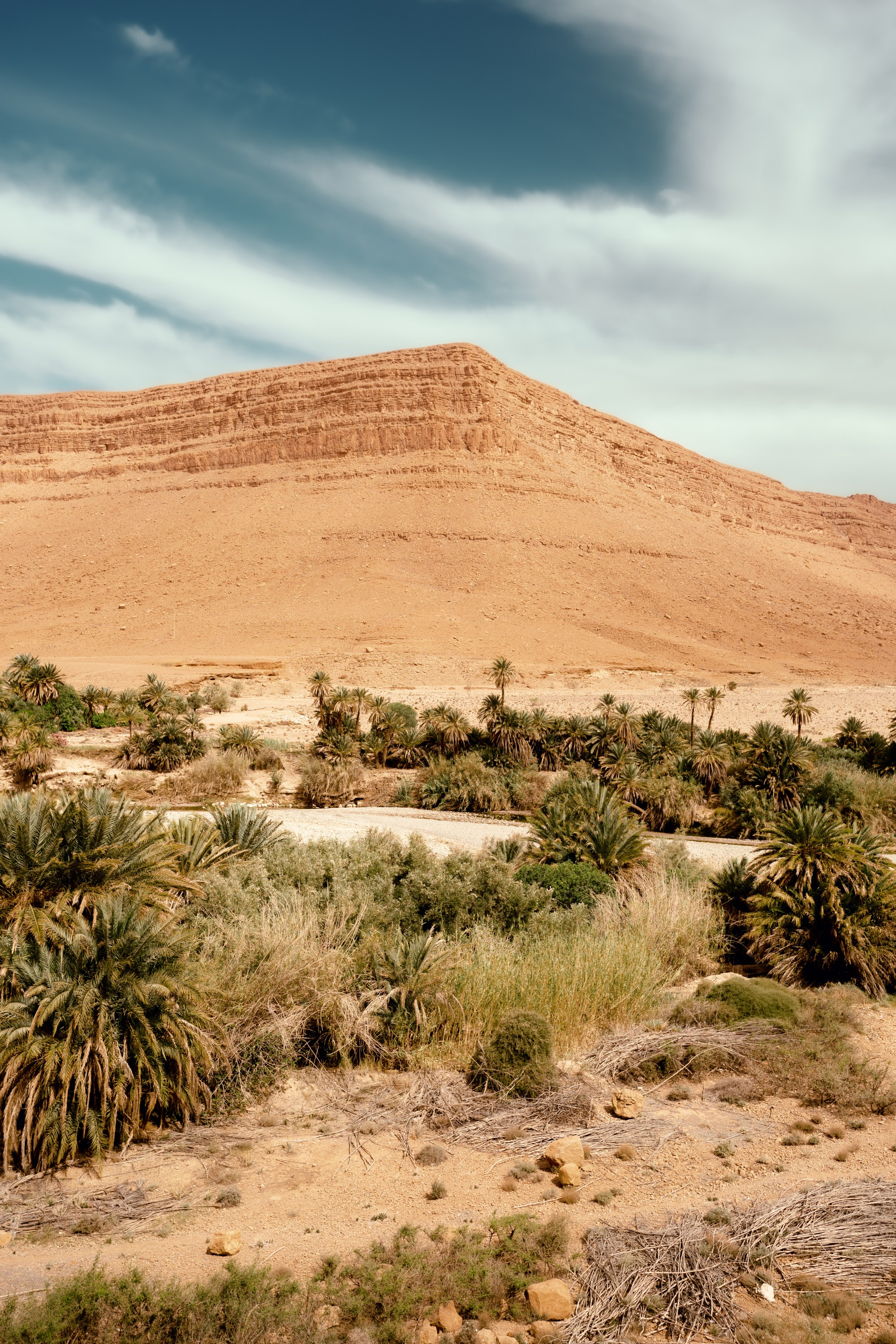 Северная Африка: Тунис, Марокко. Фотограф в Хабаровске. Фотография за 24 часа